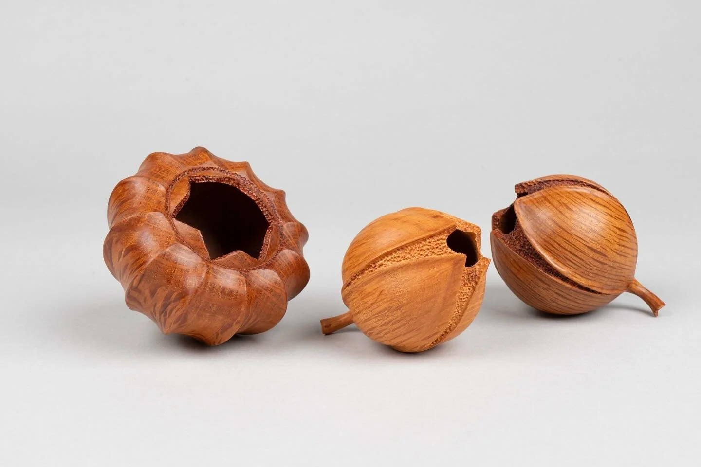 A variety of sheoak seed pods to show this design can be adapted to any size, shape and embellishment. #seedpods #seedpodsculpture #seedpodsculpturesoninstagramm#woodturning #woodsculptureartists #carving #carvingwood #neilturnerartisan