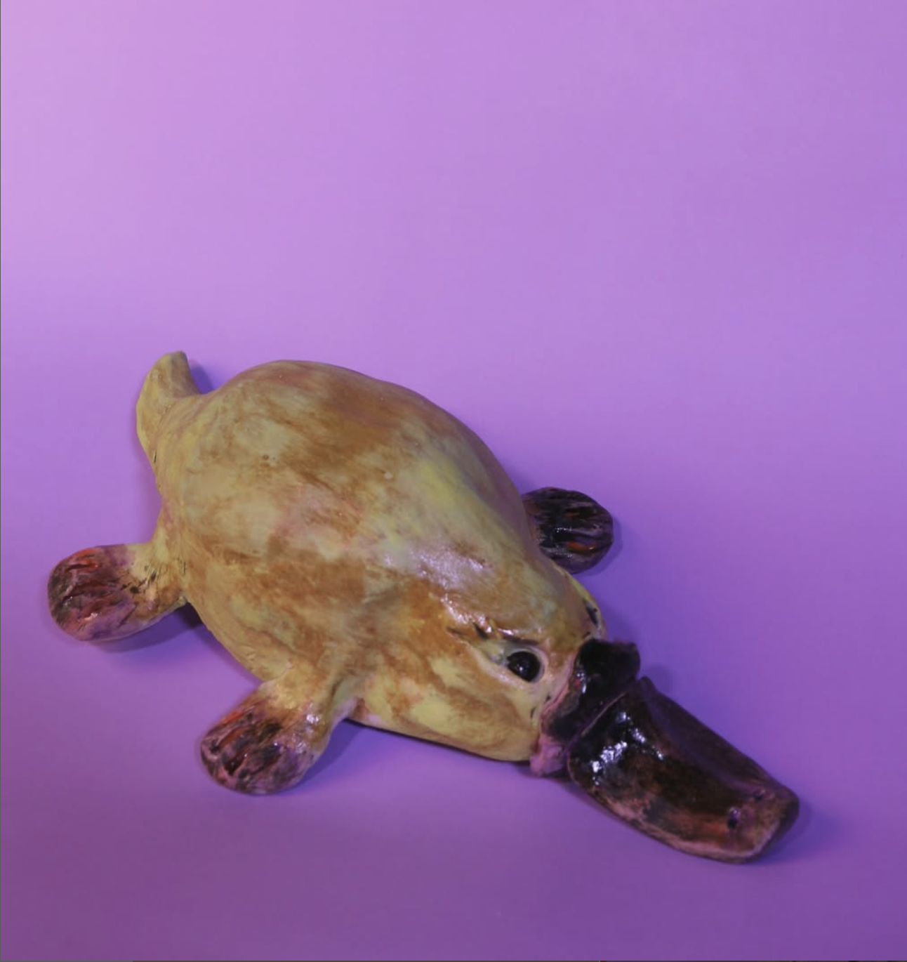 Platypus 