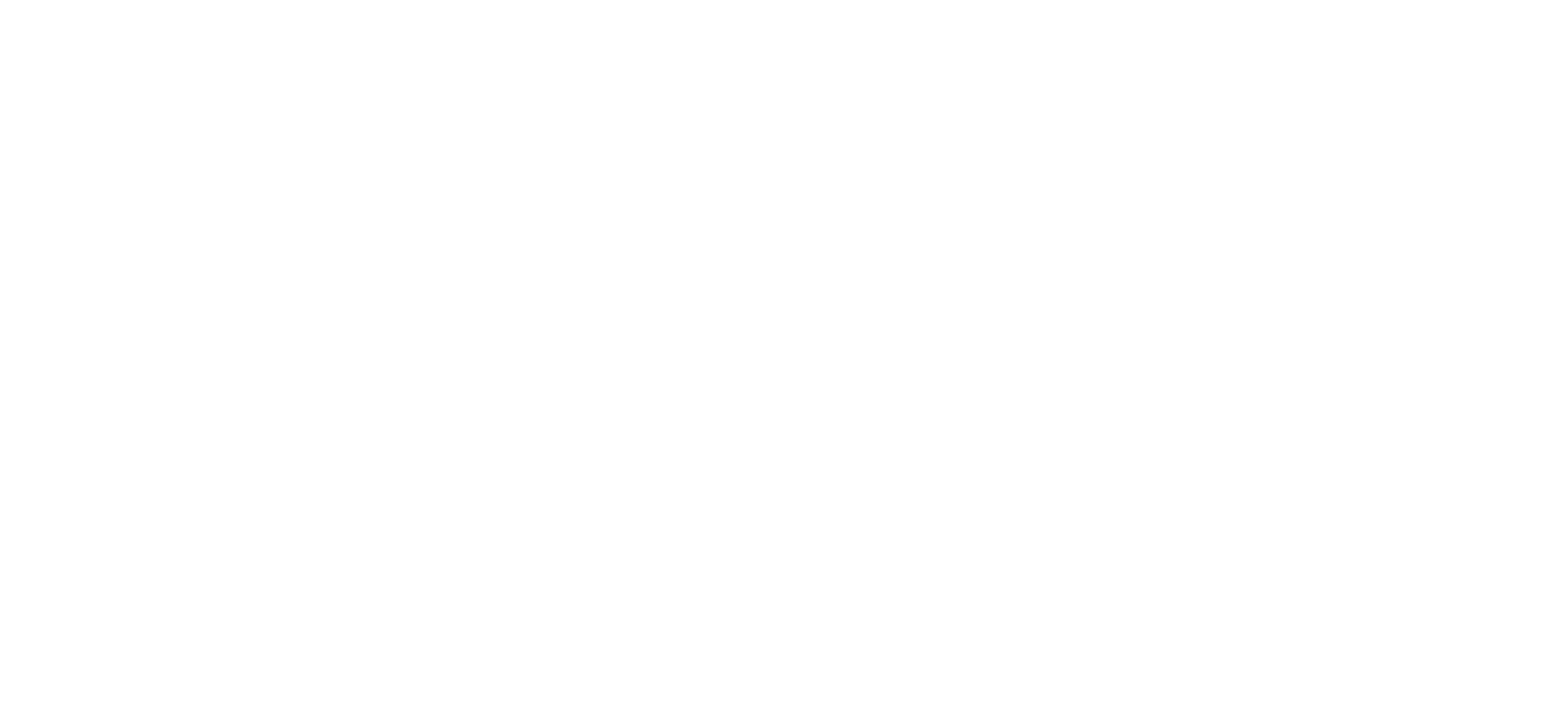 Cape Physio Logo White on Transparent.png