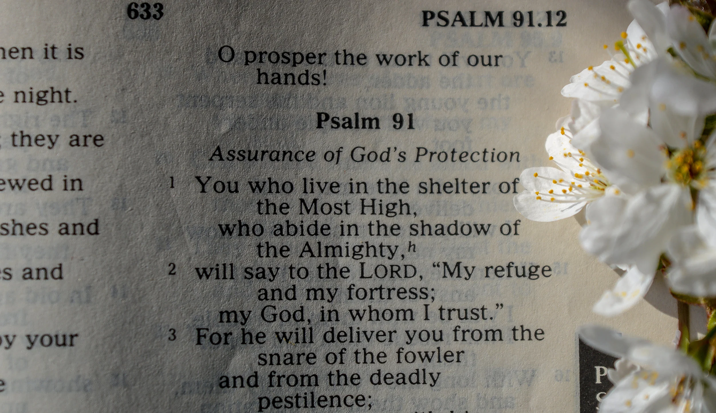Why Do So Many Christians Hate and Fear the Old Testament?