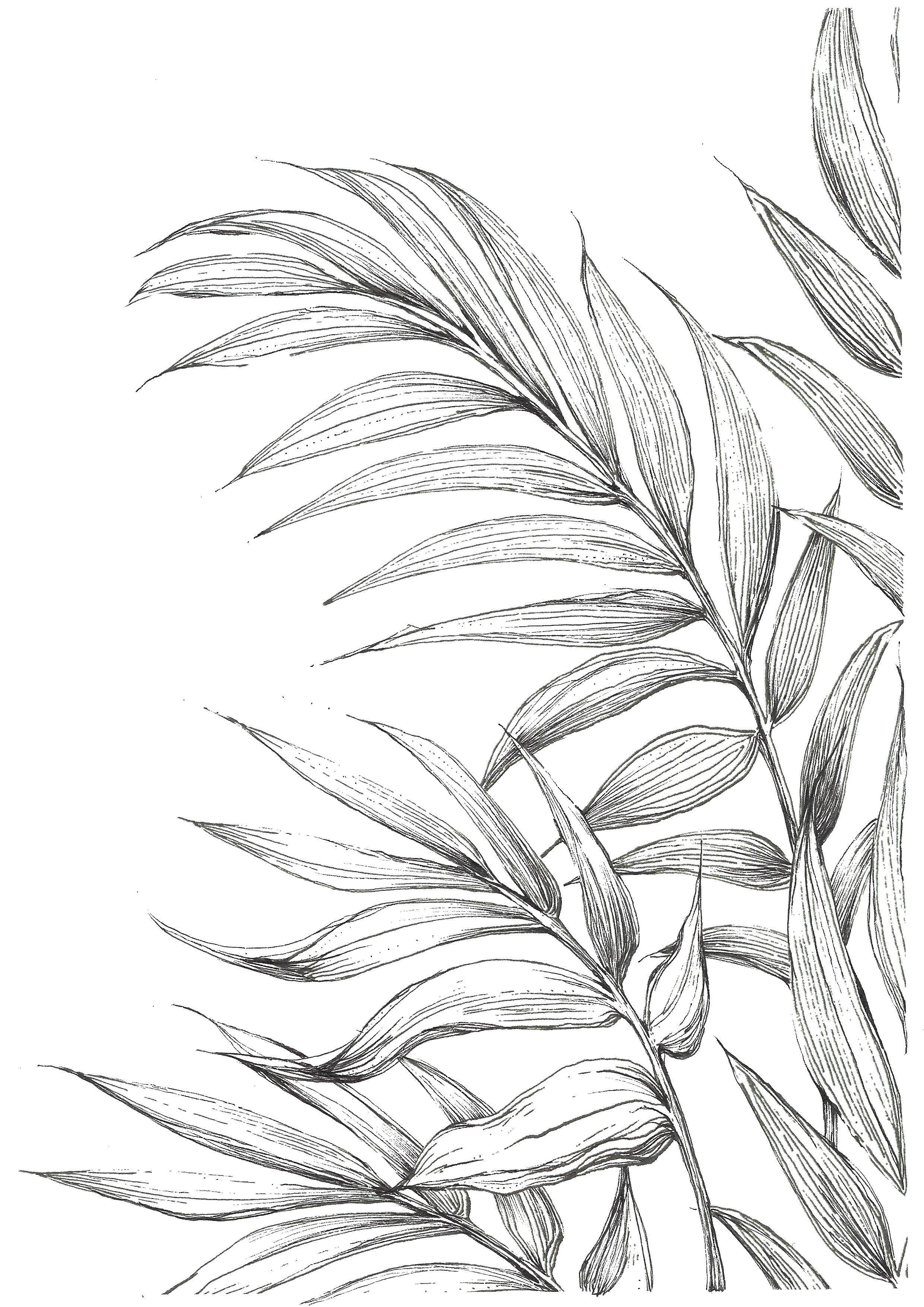 palm leaves - set right copy.jpg