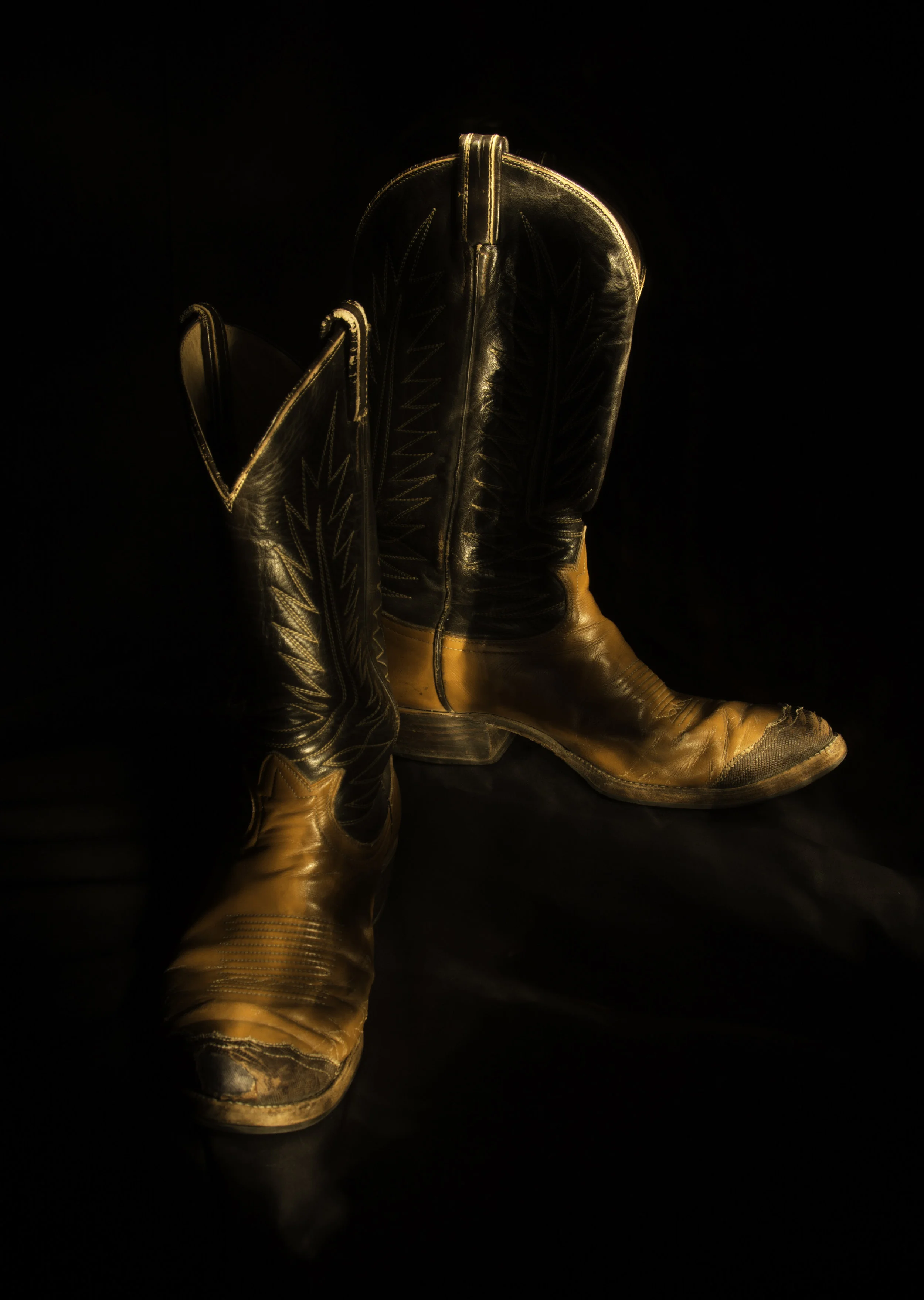 cowboy boots.jpg