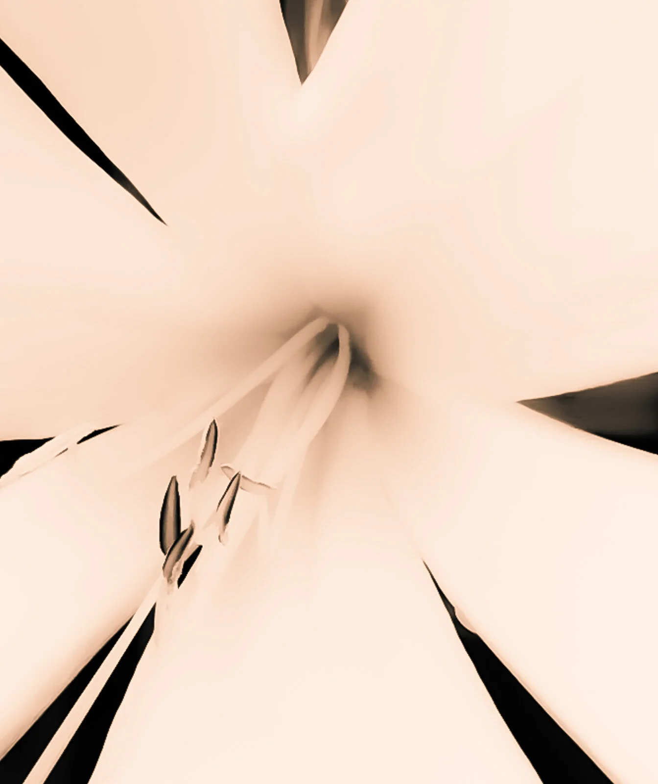 untitled shoot_2019_439-Edit.jpg