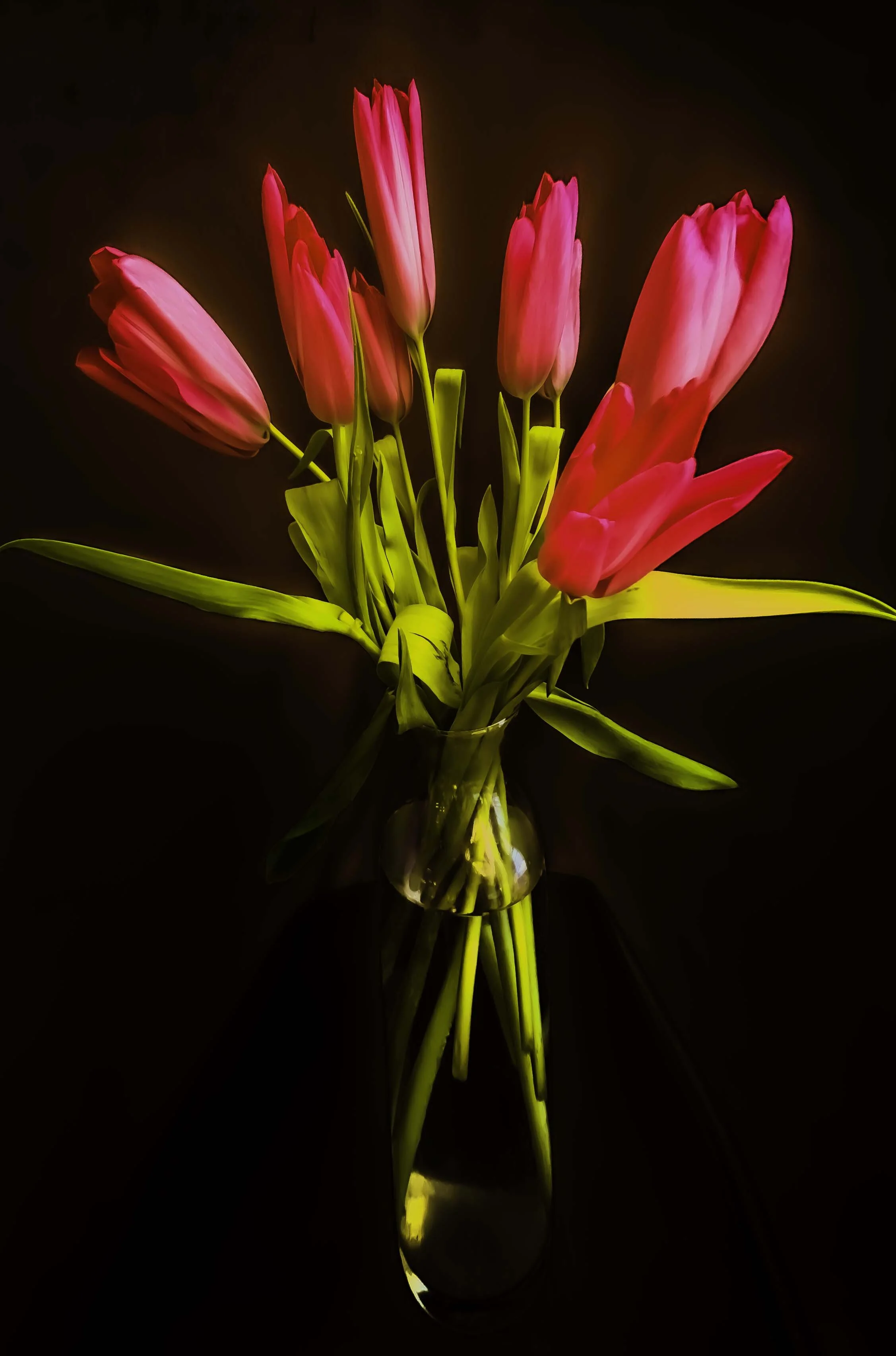 K5, Bundle of Tulips