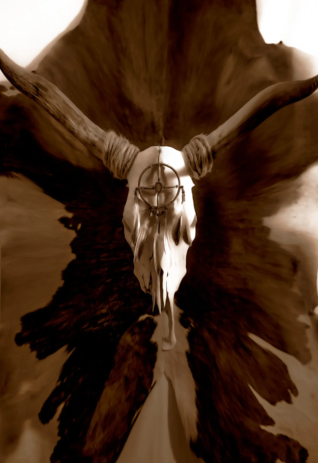 W4, Skull with dream catcher