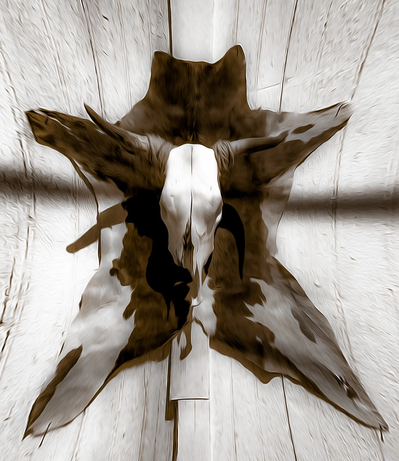 W14, CowSkull on Barn