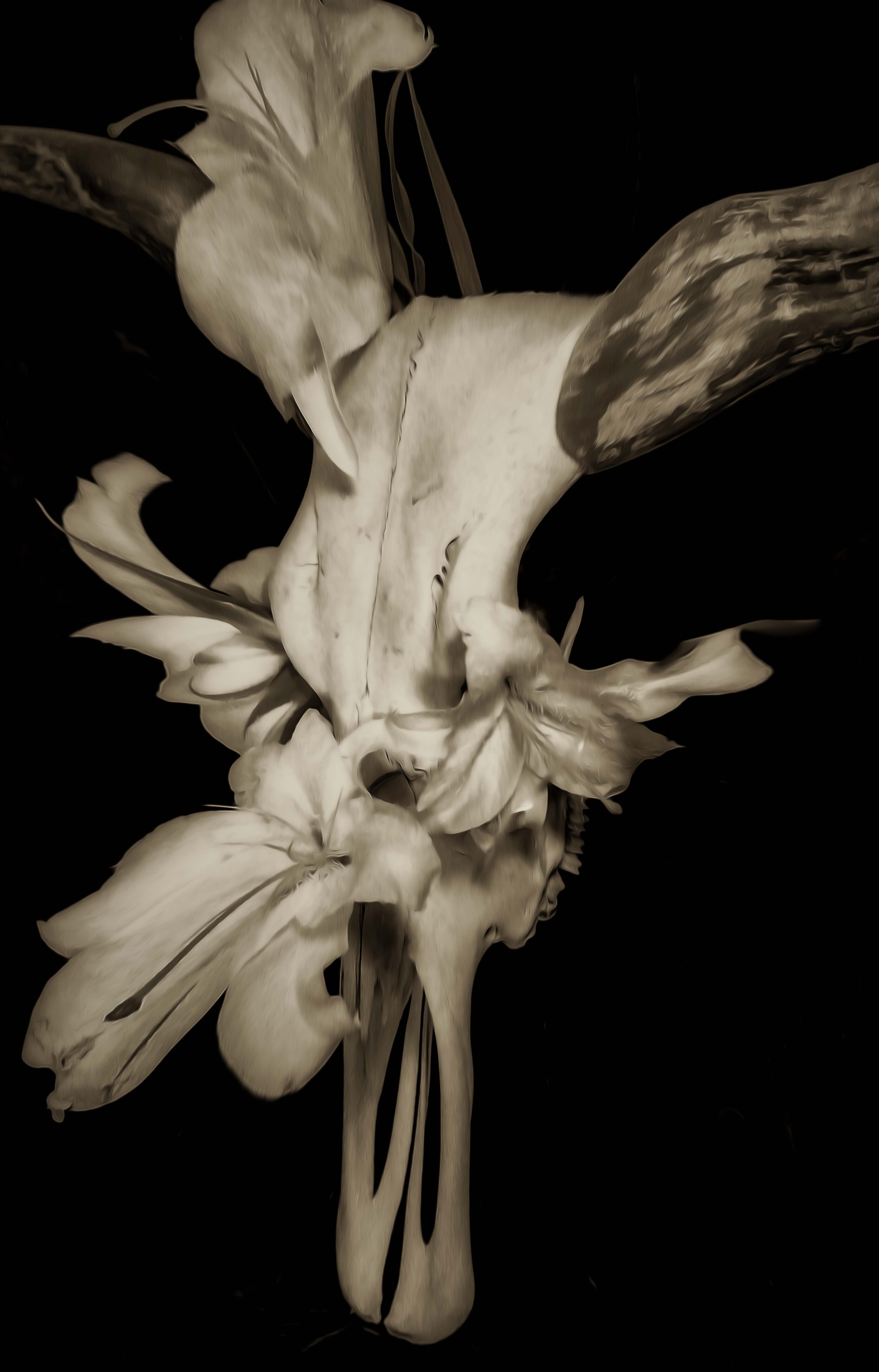 W17,Skull with Flowers