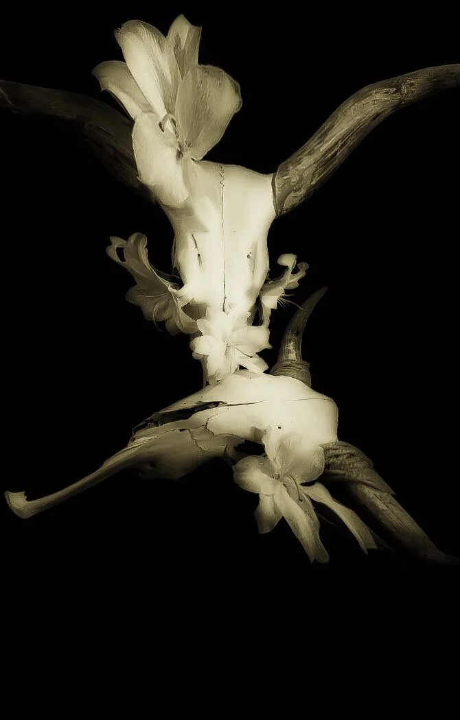 W1, Double Cow skulls with Flowers