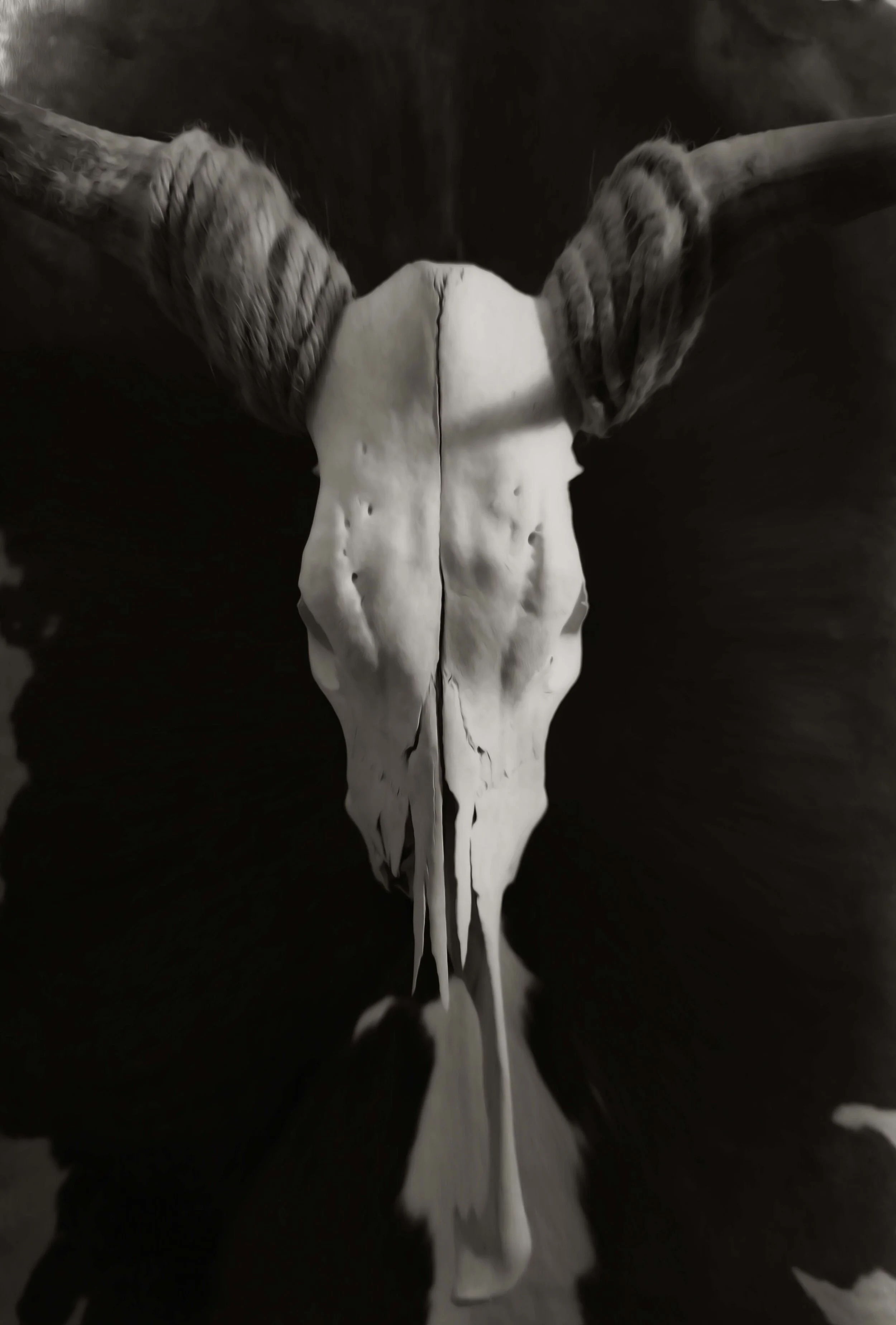 W18, Plain Skull with Rope