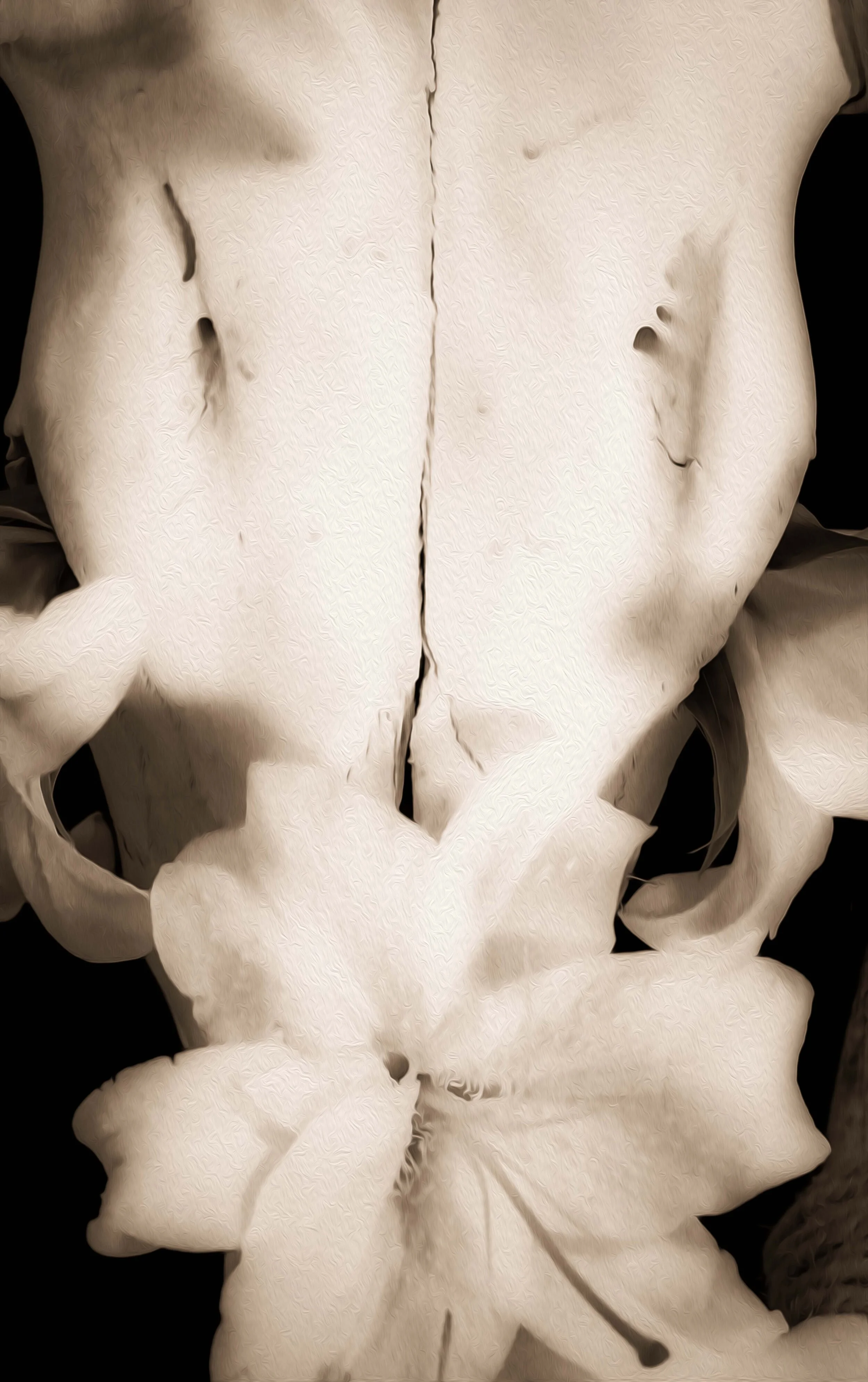 W21, Upclose Skull with Flowers