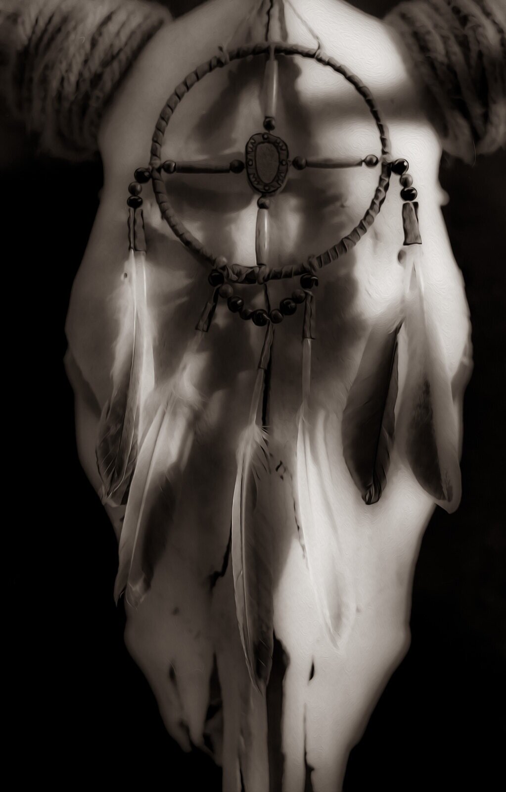 W12, Skull with Dream Catcher