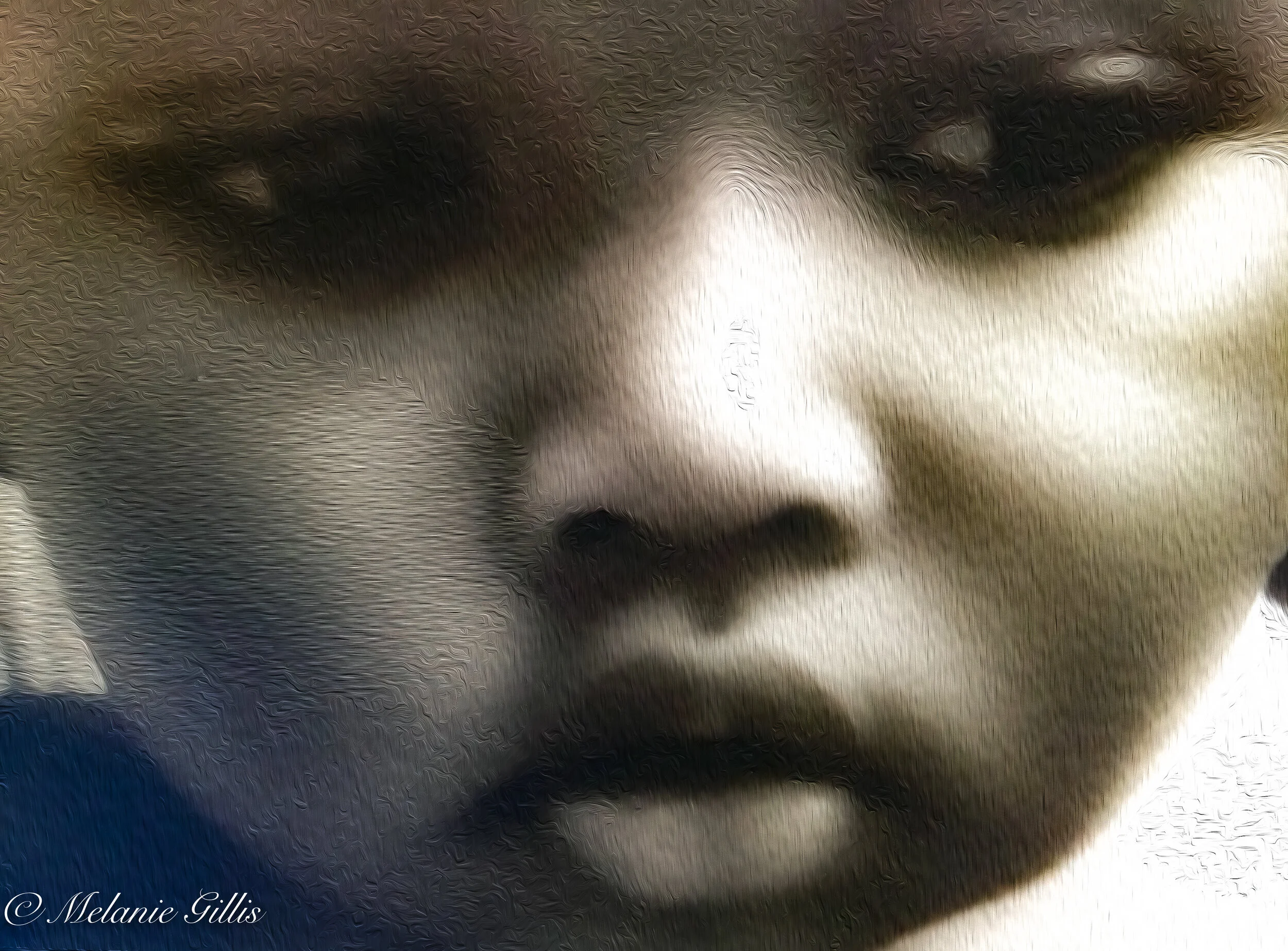 untitled shoot_2021_1761-Edit-2.jpg