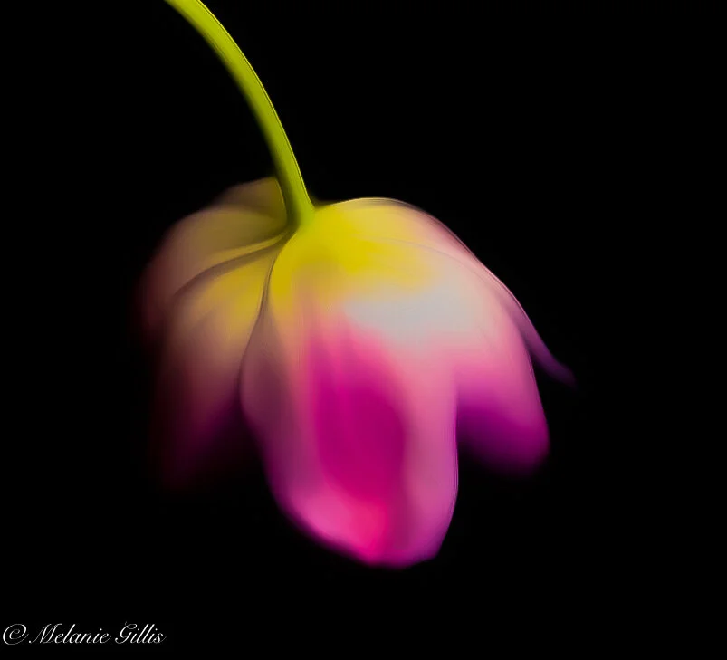 untitled shoot_2021_044-Edit.jpg