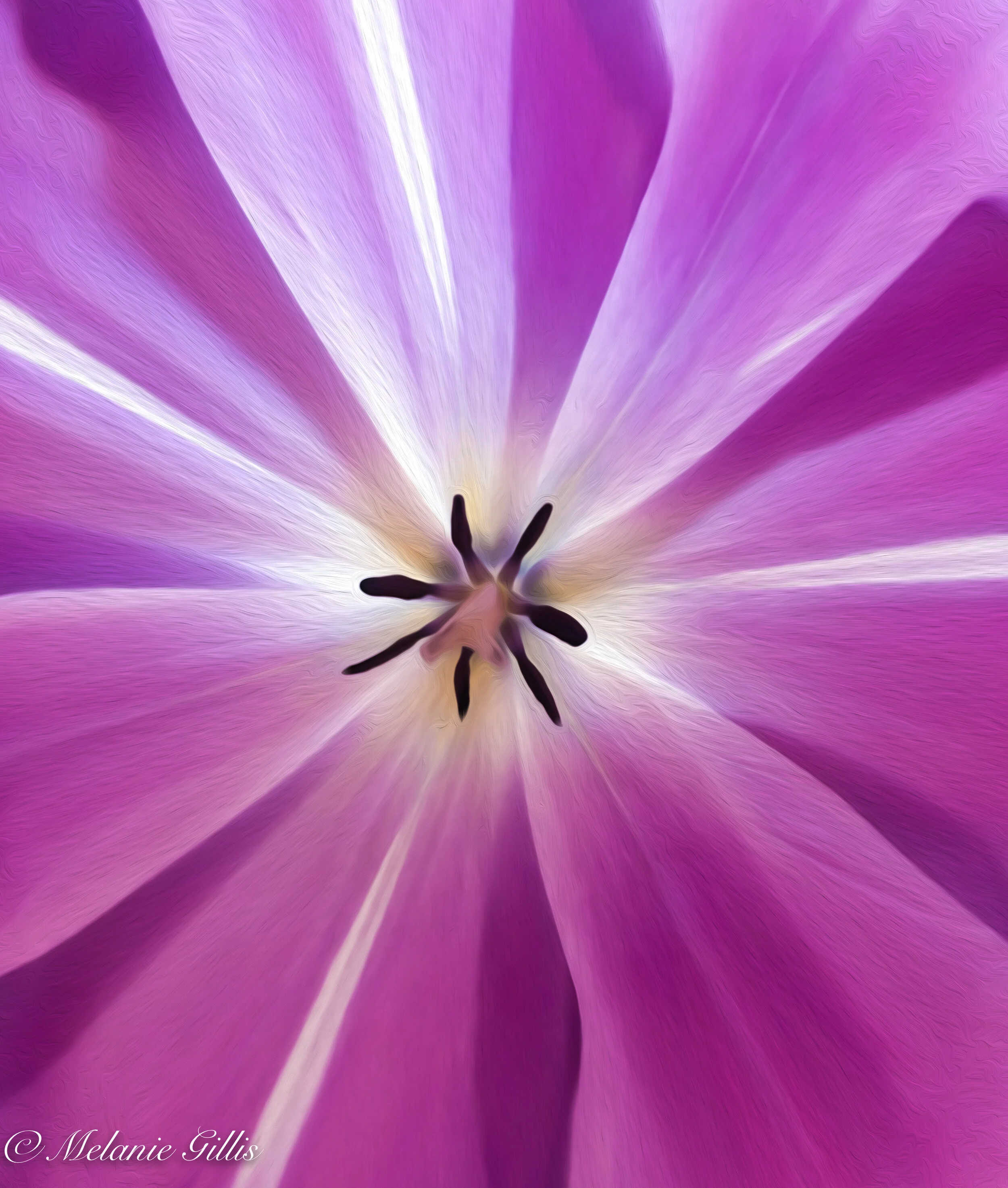 untitled shoot_2021_046-Edit.jpg