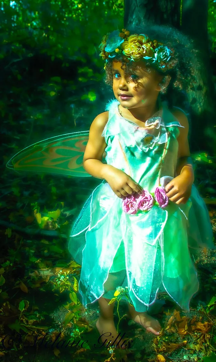 Fairies 1