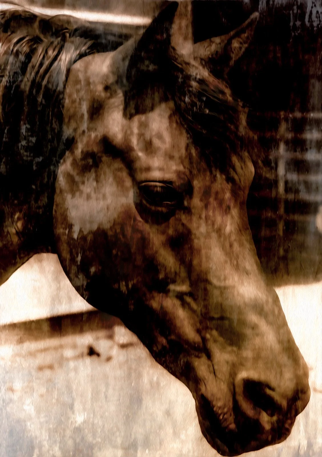 Horse Head.jpg