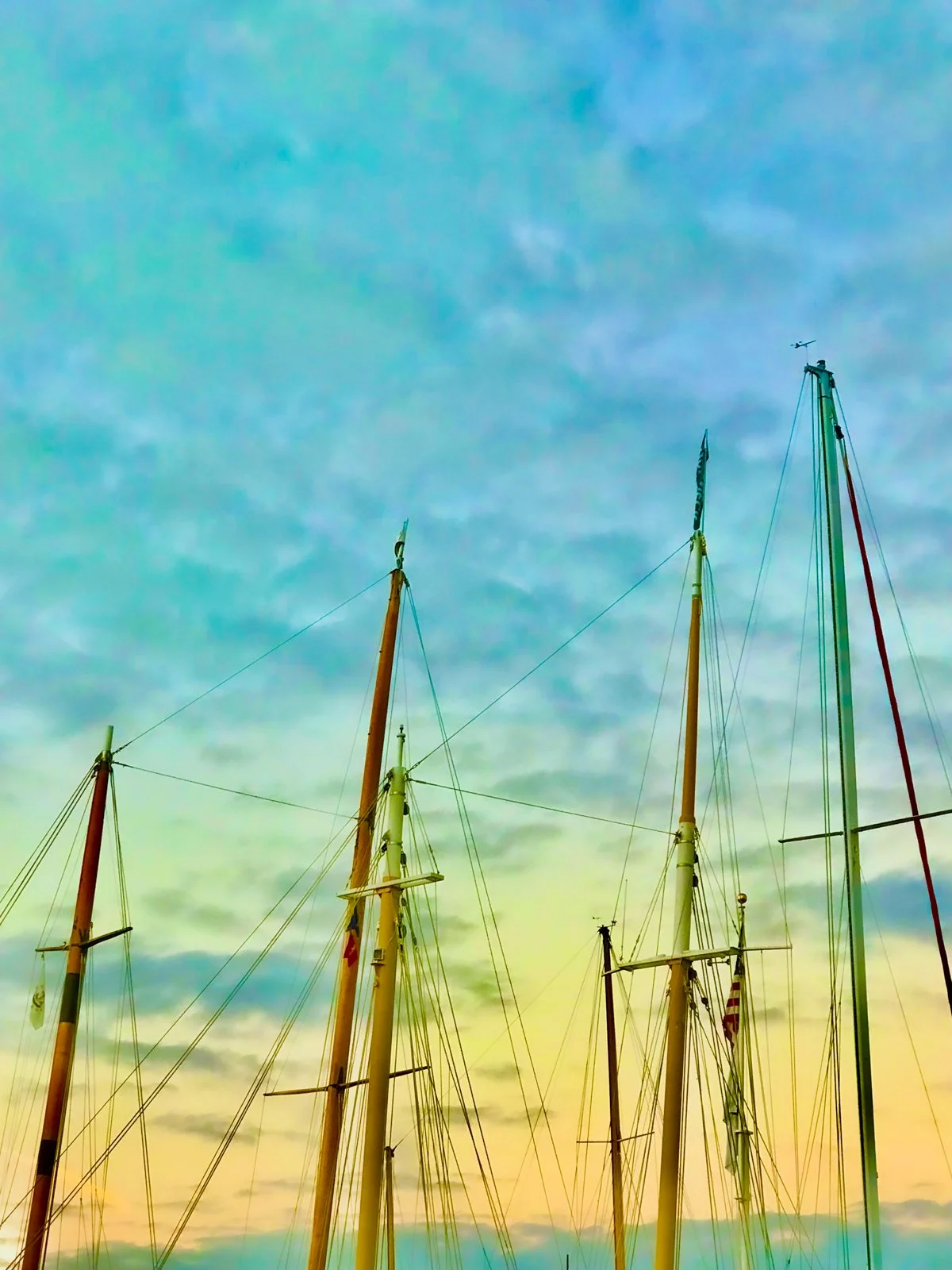 Collection Newport 2-11.jpg