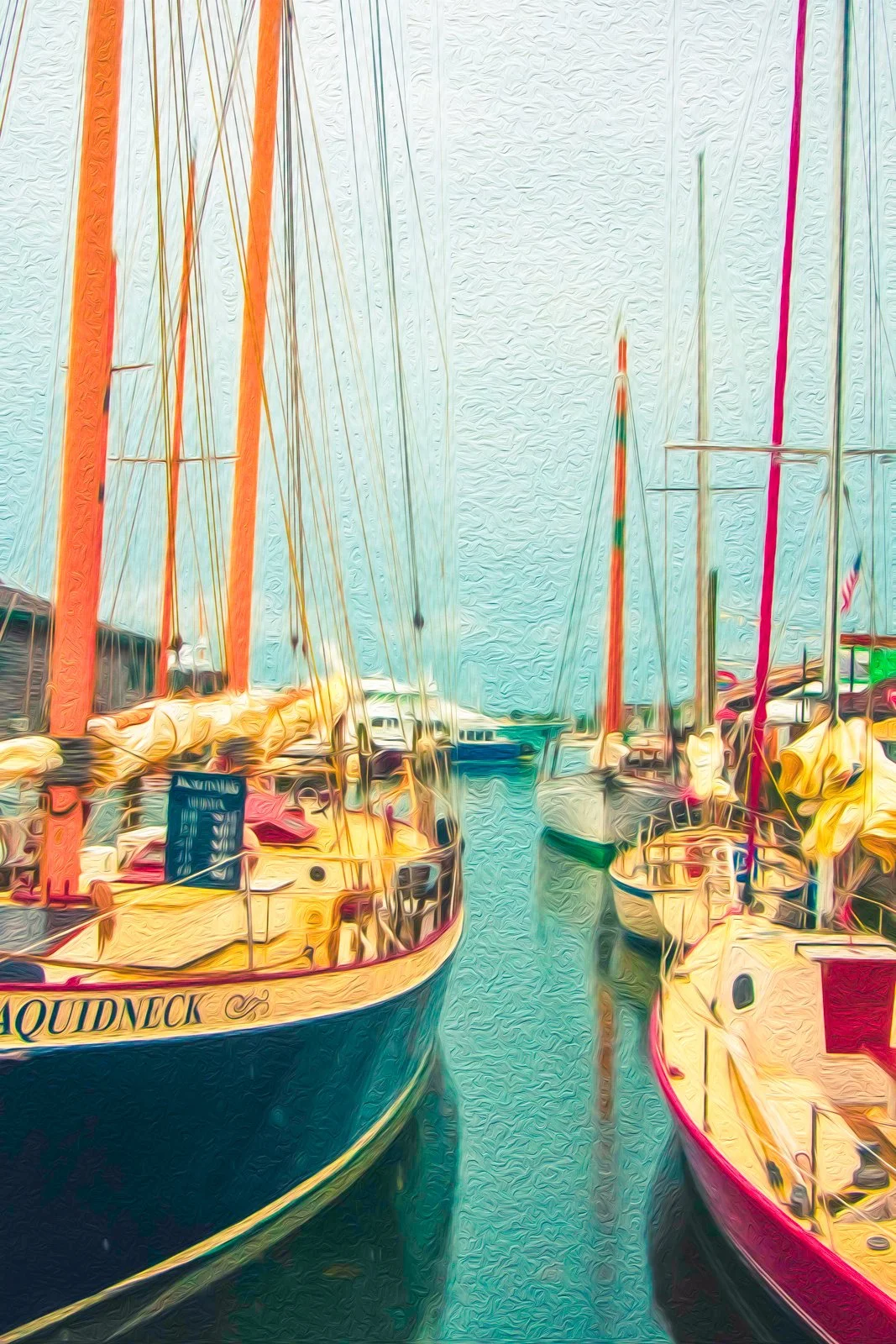 Collection Newport 2-8.jpg