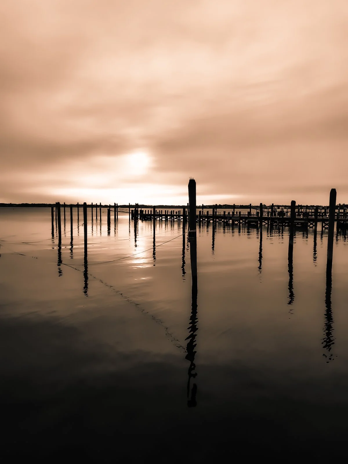 Collection Newport 2-13.jpg