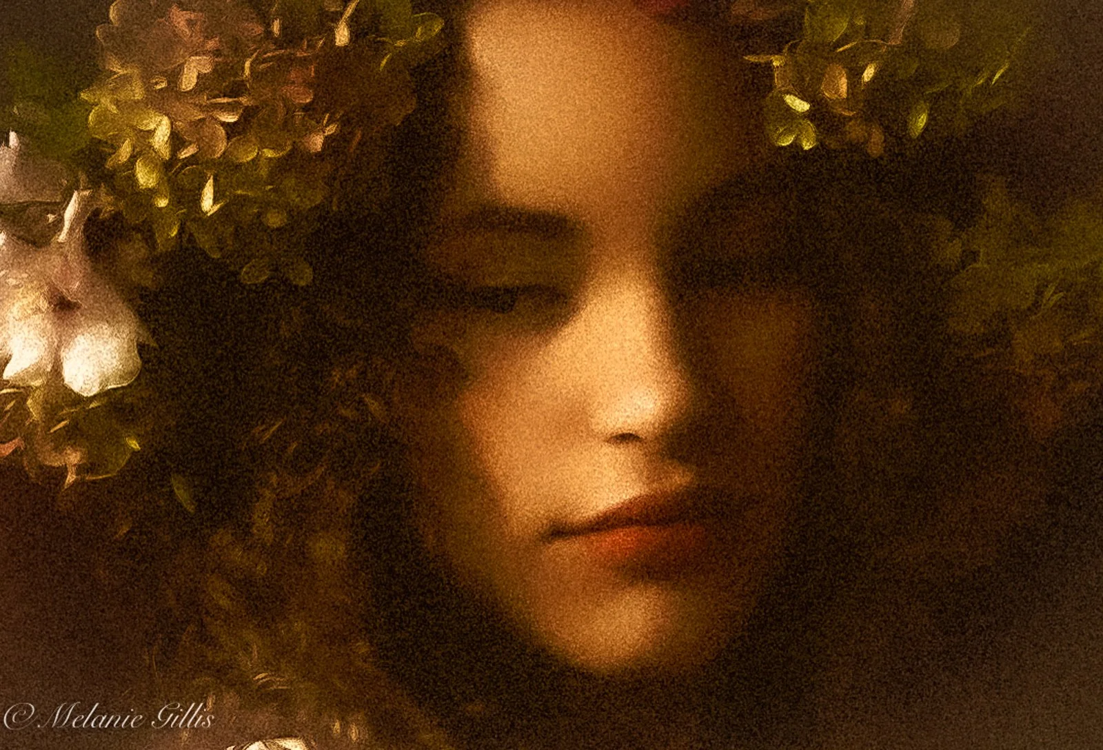 Collection Portraits 8.jpg