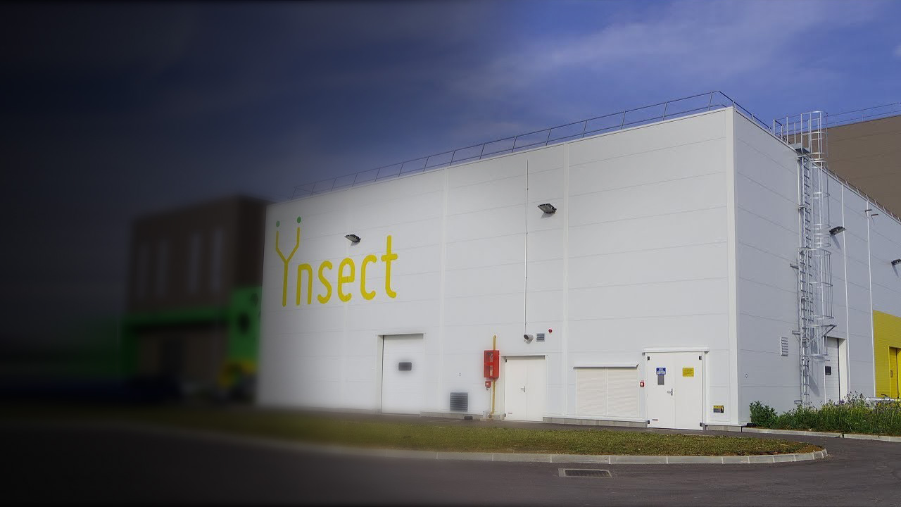 ynsect_background.jpg