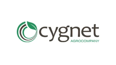 Talics_coms__0027_cygnet.jpg