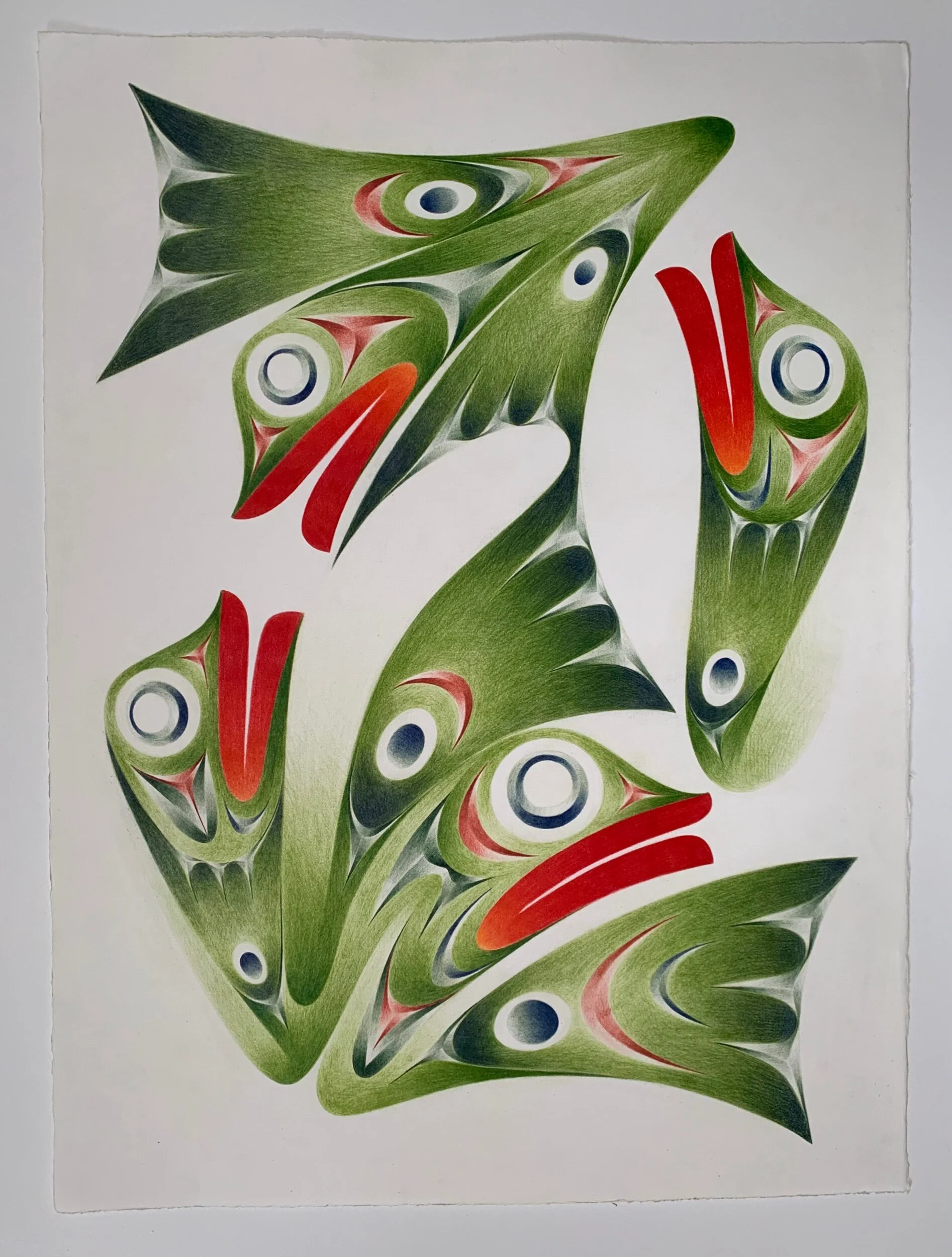  24”x30”  2020  colour pencils on BFK rieves 