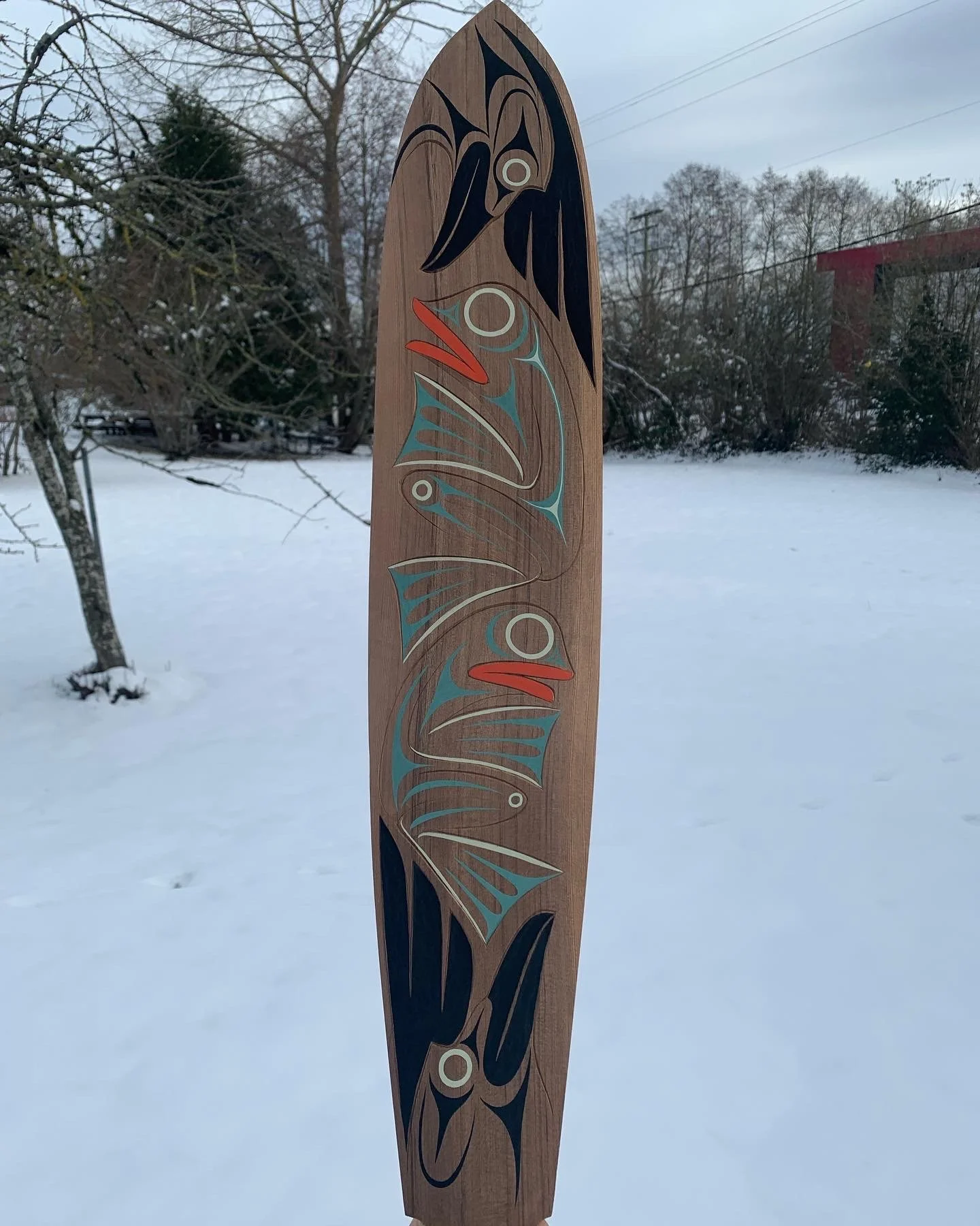 Frogs and Ravens Paddle