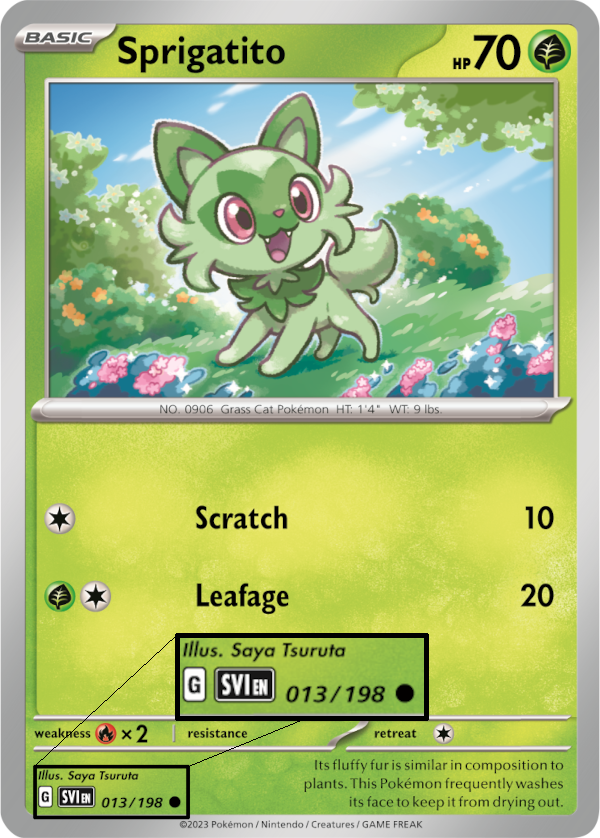 Pokemon Card 151 Translations — JustInBasil's Pokémon TCG Resources