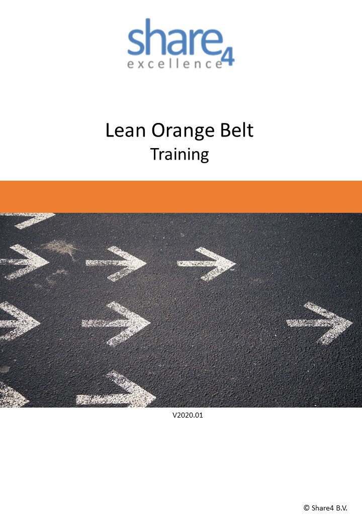 Lean Orange Belt