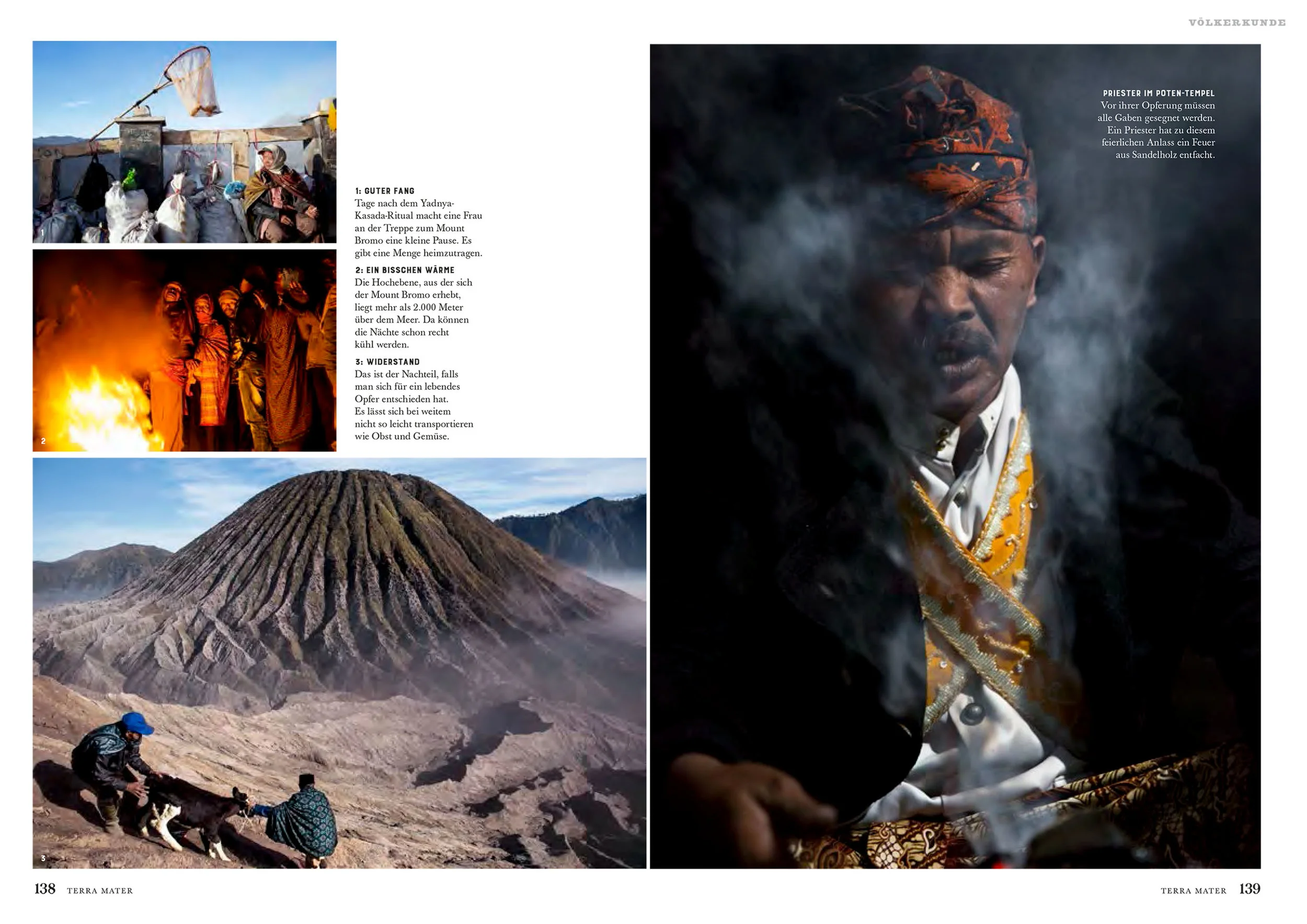 Terra Matter Magazine, 2016.