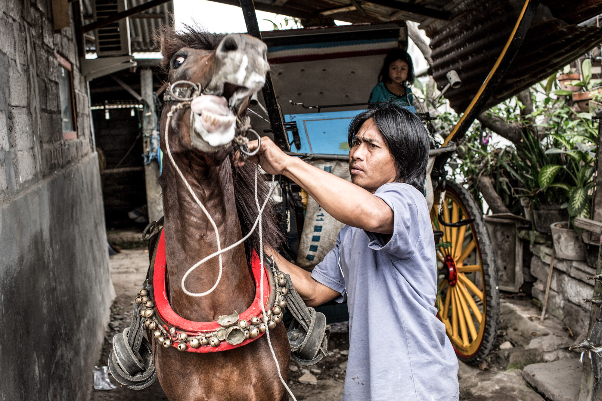 The Last Horsemen_AgungParameswara_38.jpg