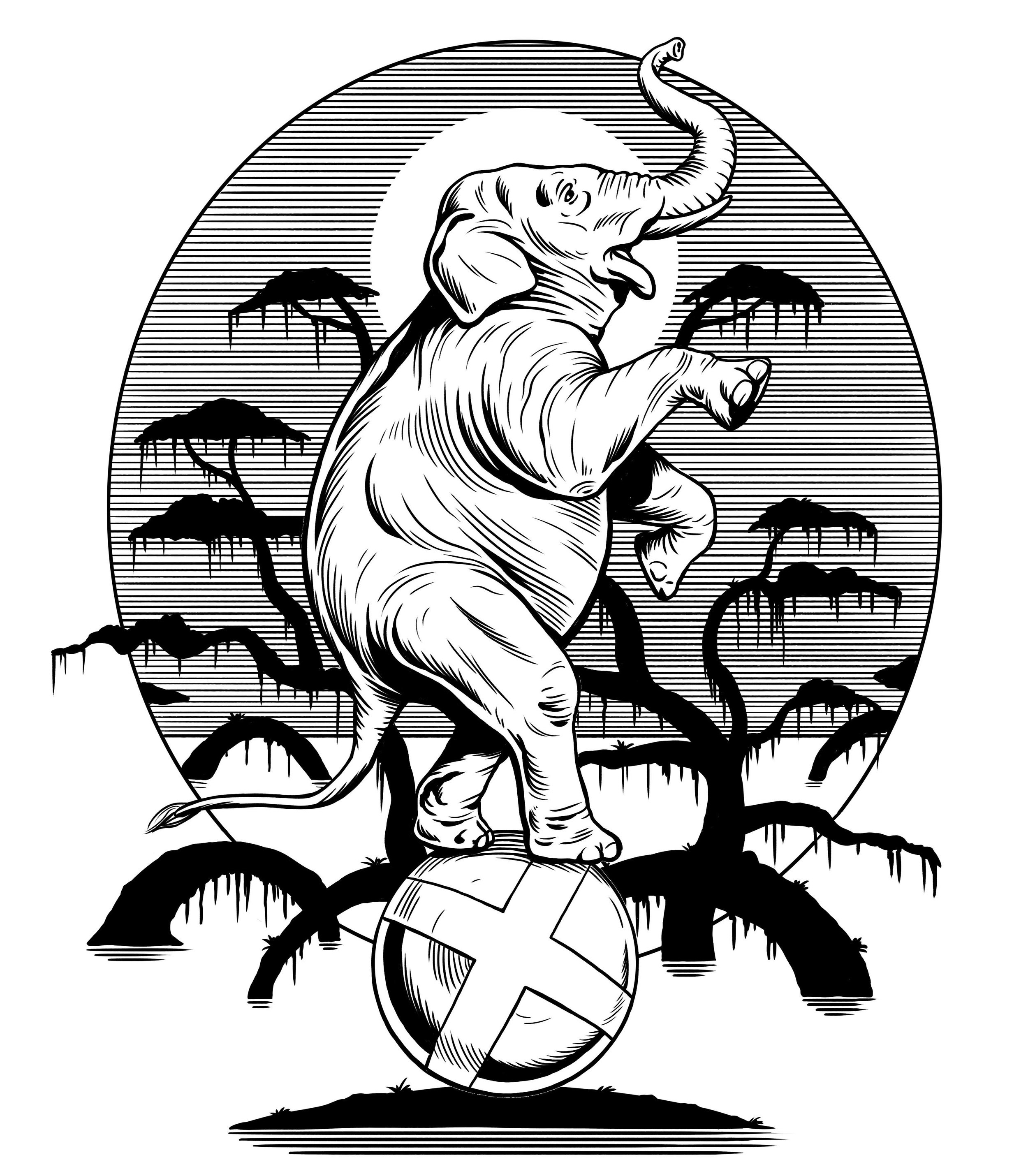 Elephant.jpg