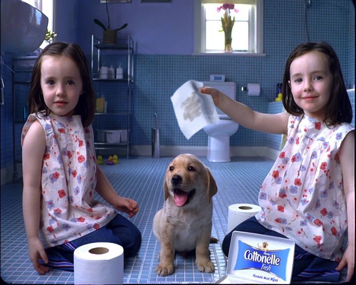 Clean Puppy