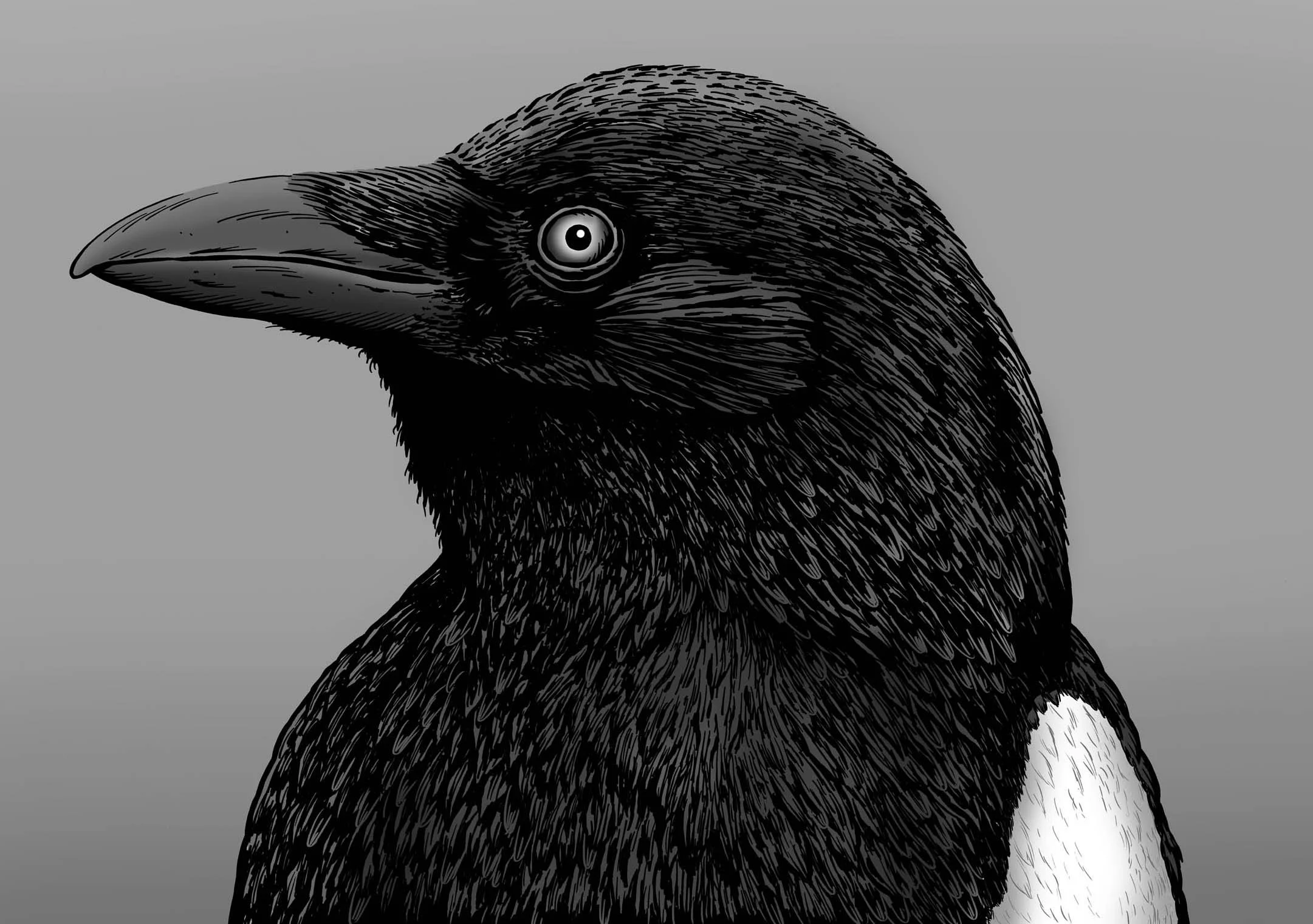 BLACK 6b.jpg