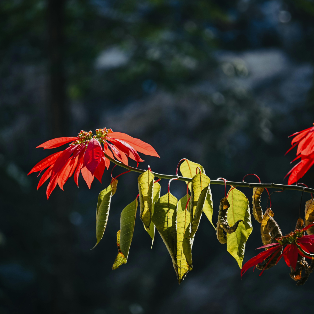 Why does our transformation equation resonate with so many teams?