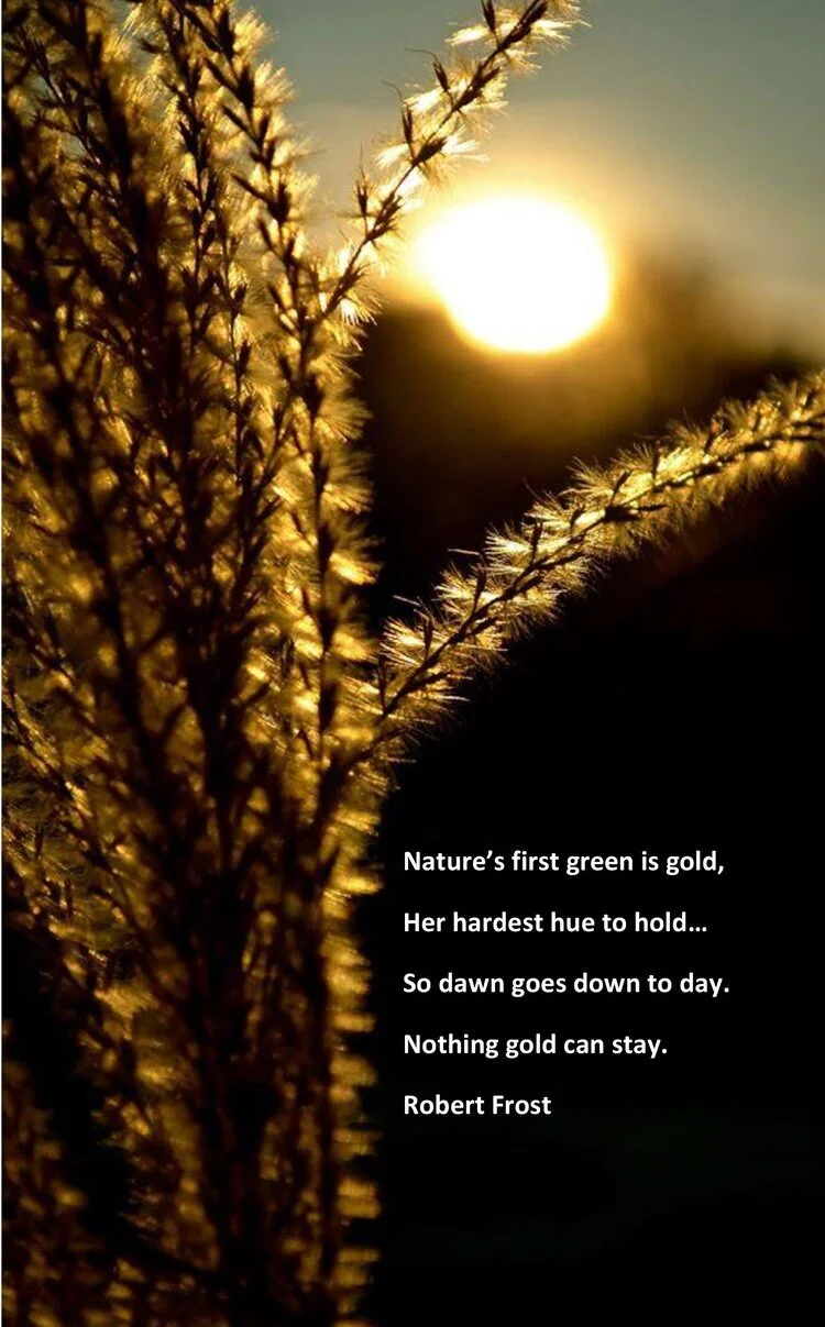 INSPIRED photo by Agnieszka Kukawska