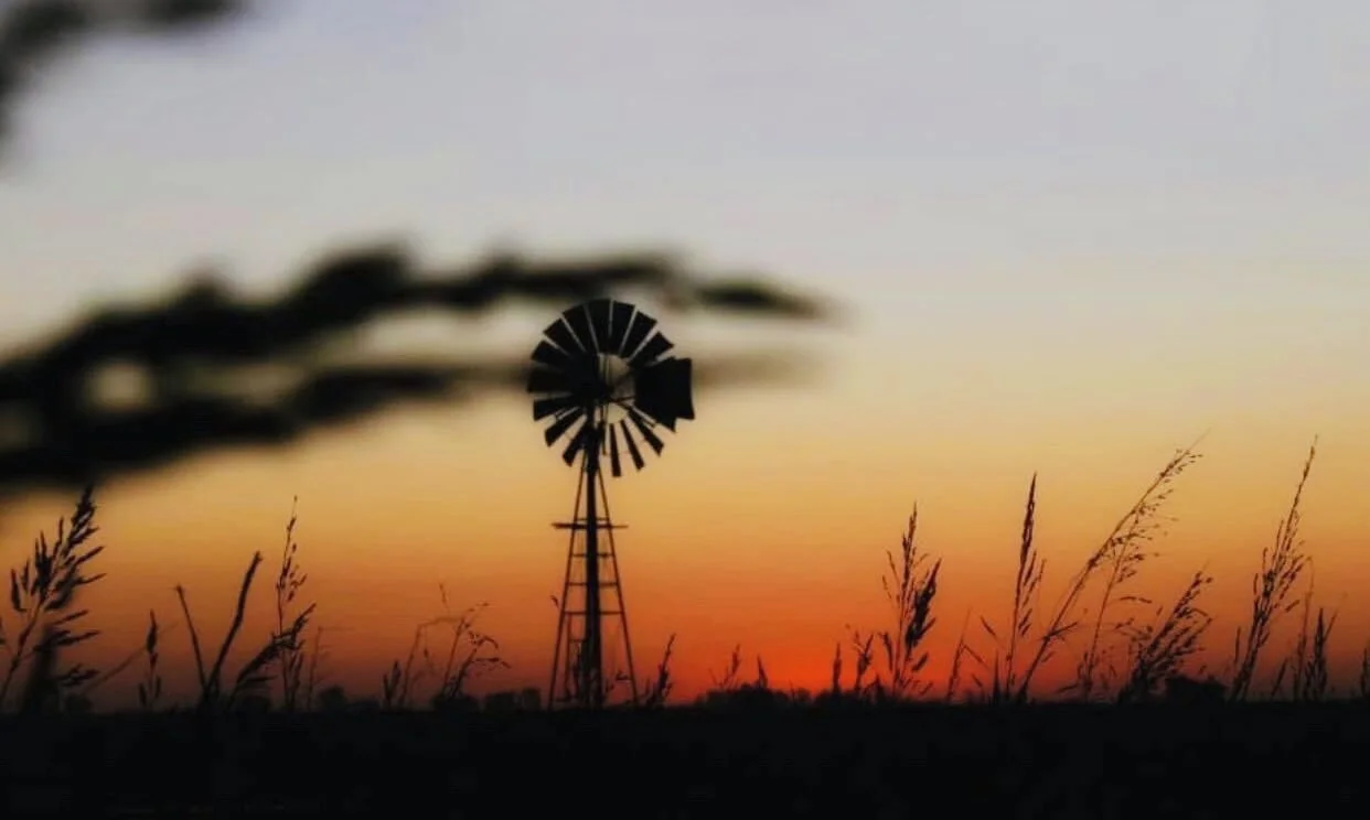 August Artist Terri Abbott