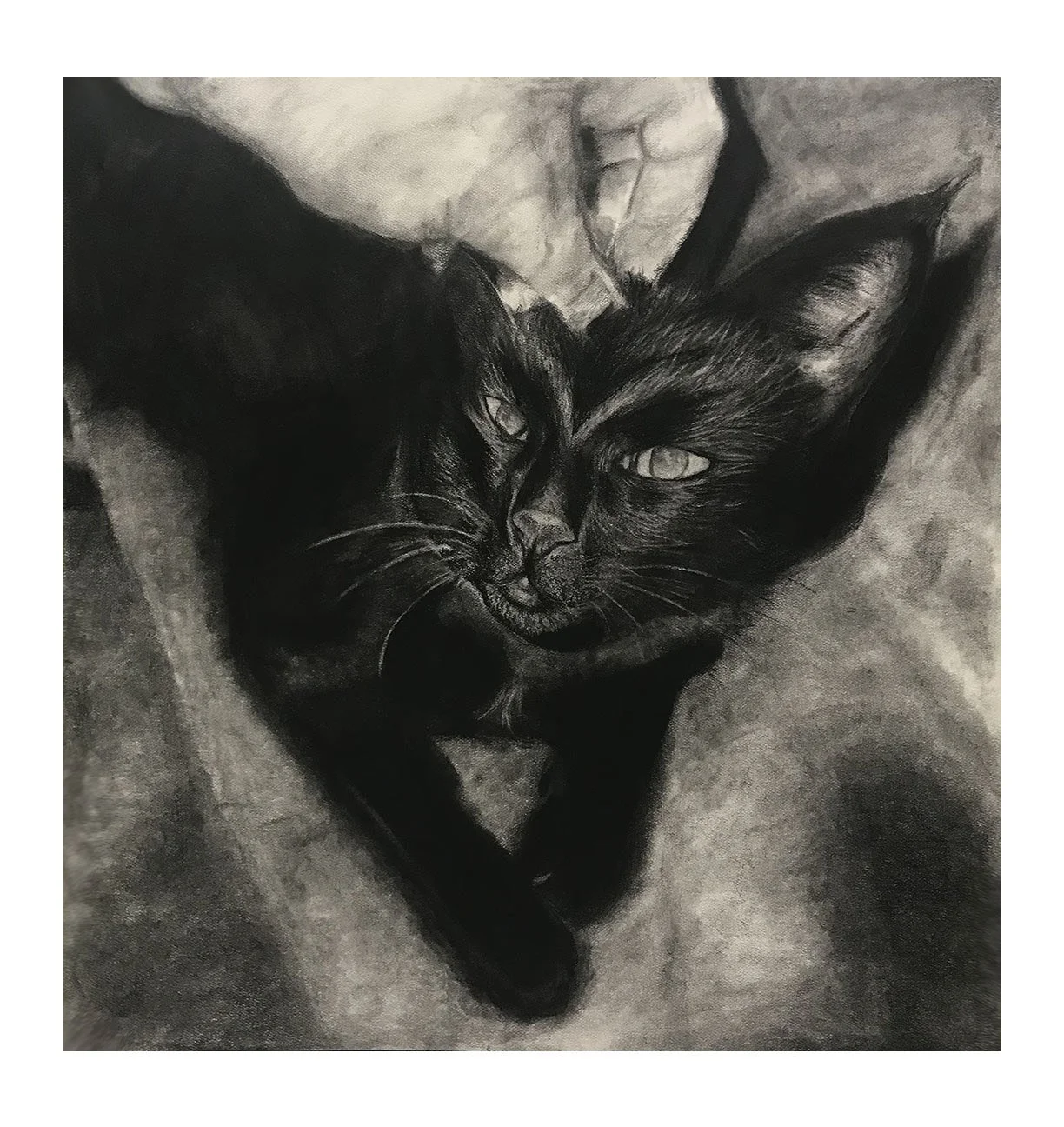 May Artist Nicholas Patterson