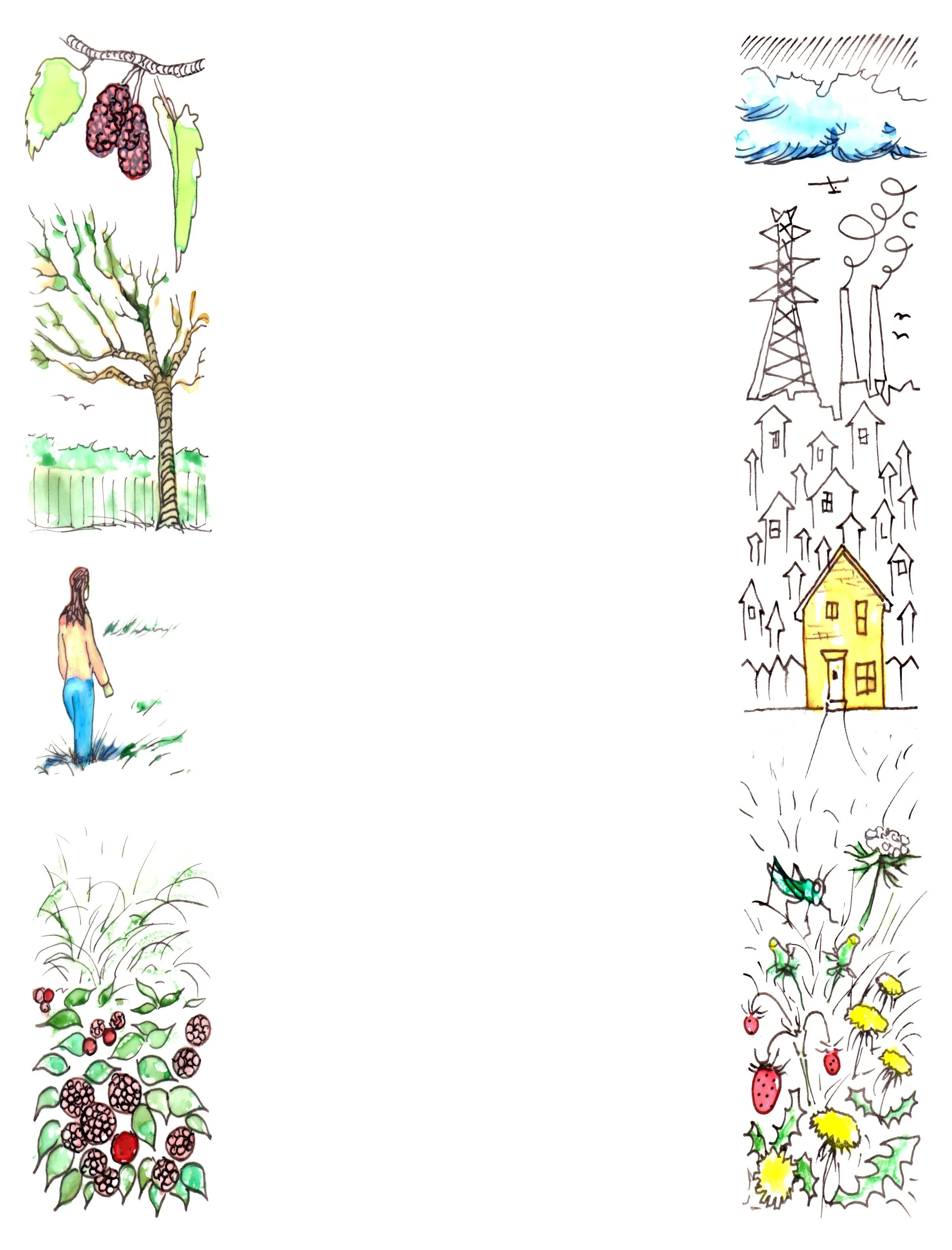 Wild Summertime by Colleen Newquist