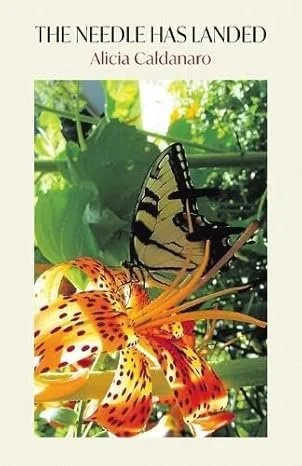 The Needle Has Landed by Alicia Caldanaro