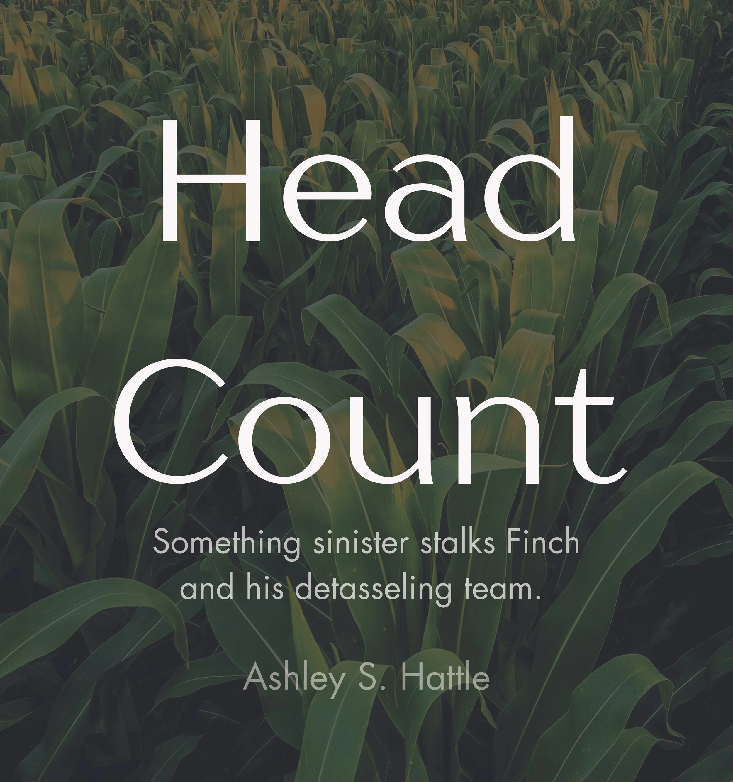 Field 46 by Ashley S Hattle