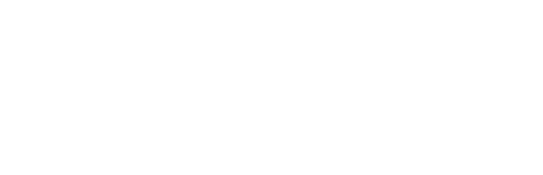 ZooM Agency