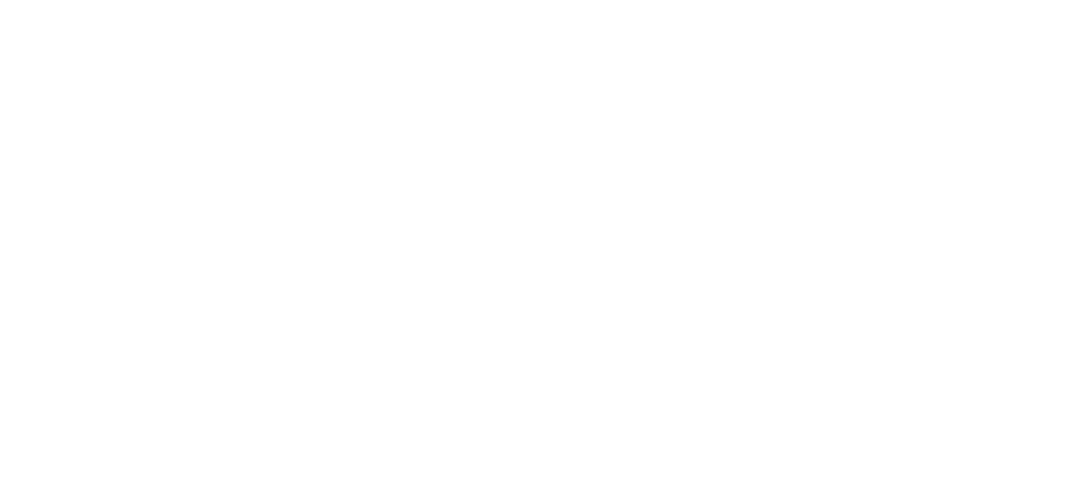 ZooM Agency