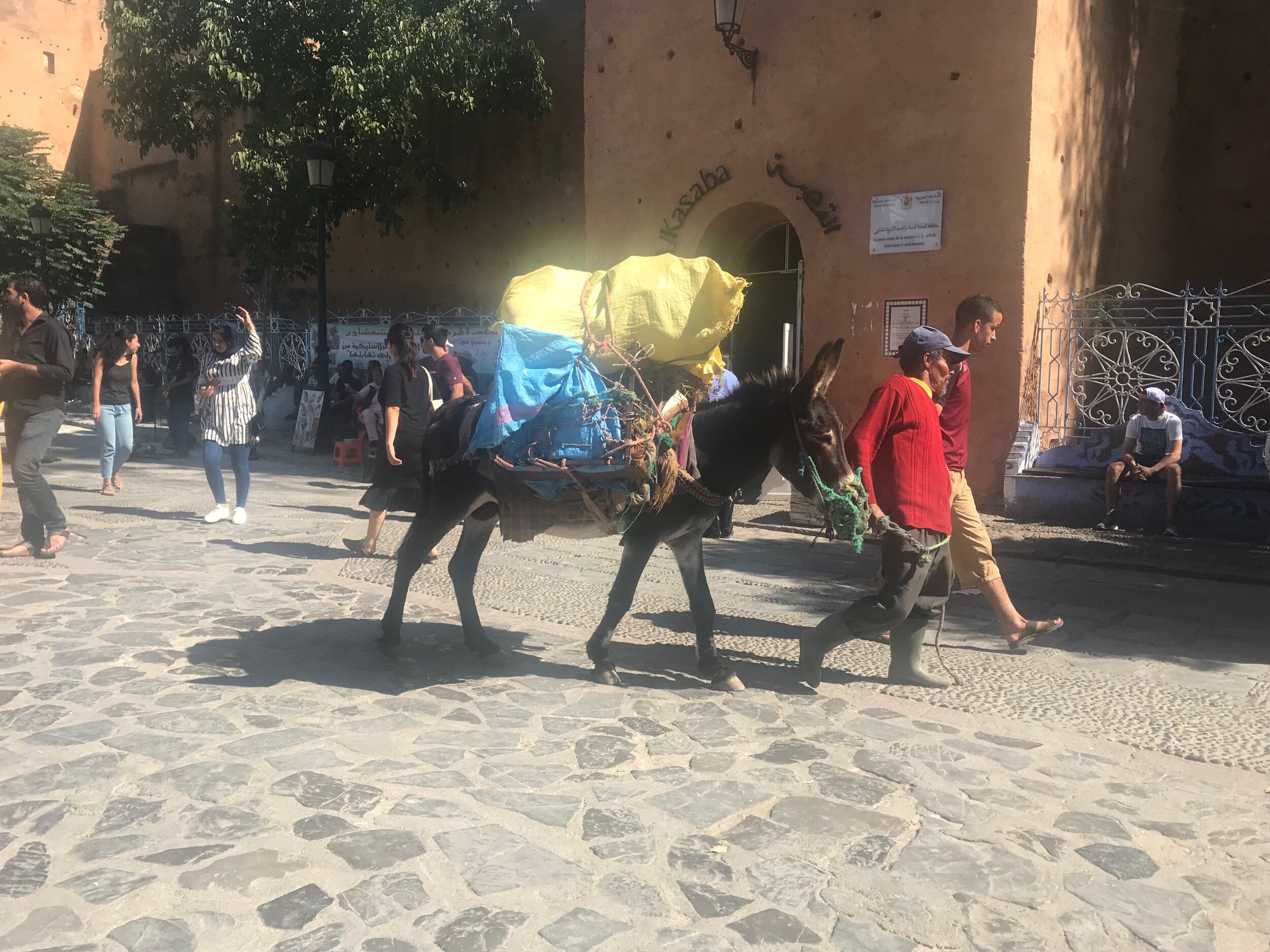 Donkeys are used to get some stock around the narrow streets.