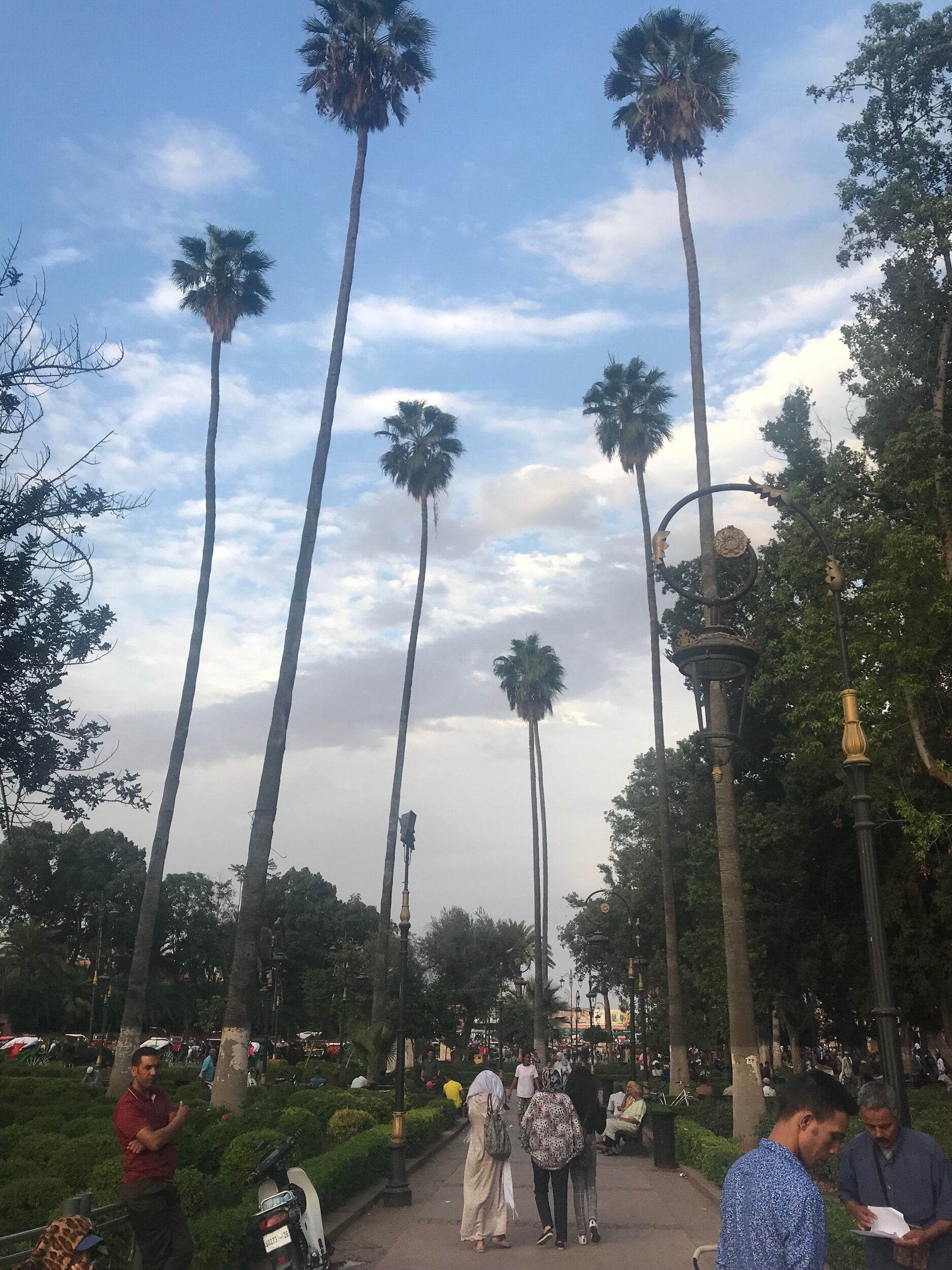 It absolutely stank of horse manure here, maybe that’s why the palm trees grow so tall, to get a breath of fresh air!