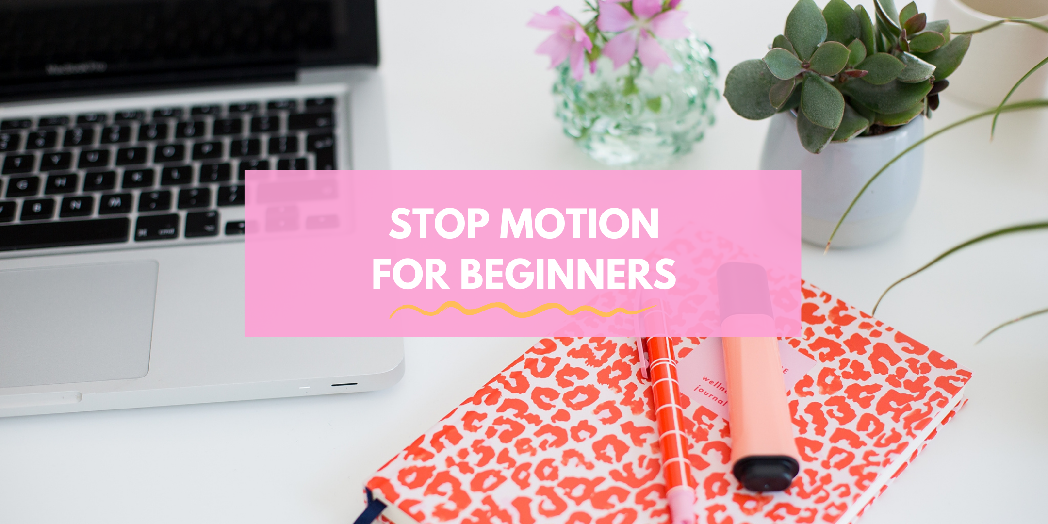 Stop Motion for Beginners
