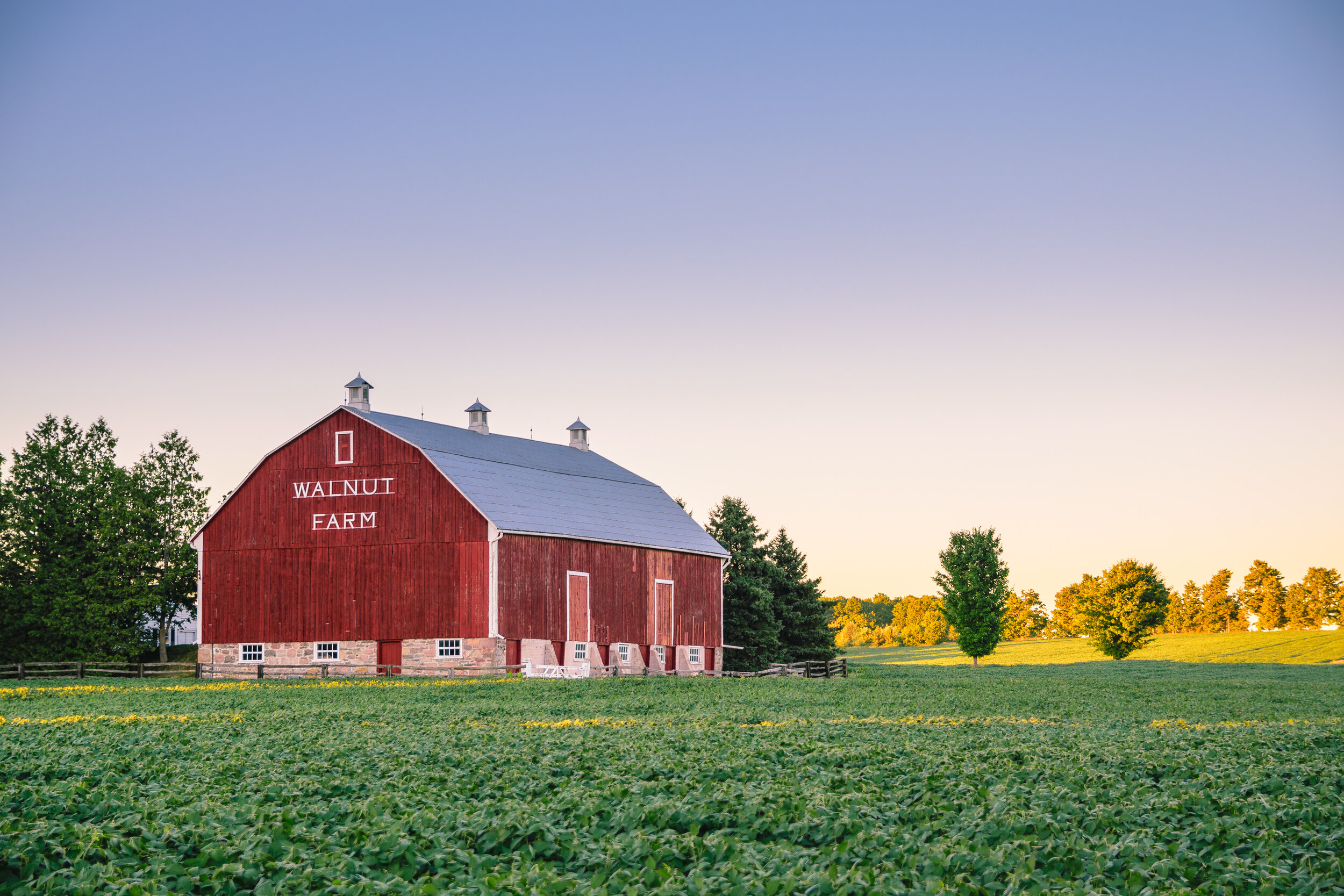 THE BIG BARN THEORY