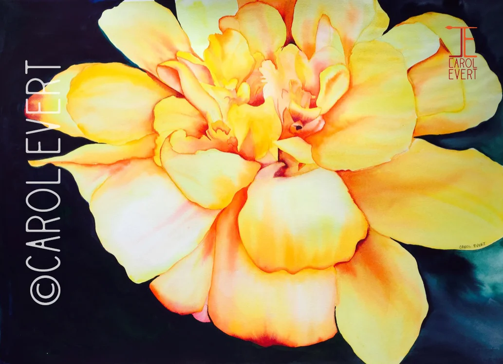 Yellow Peony