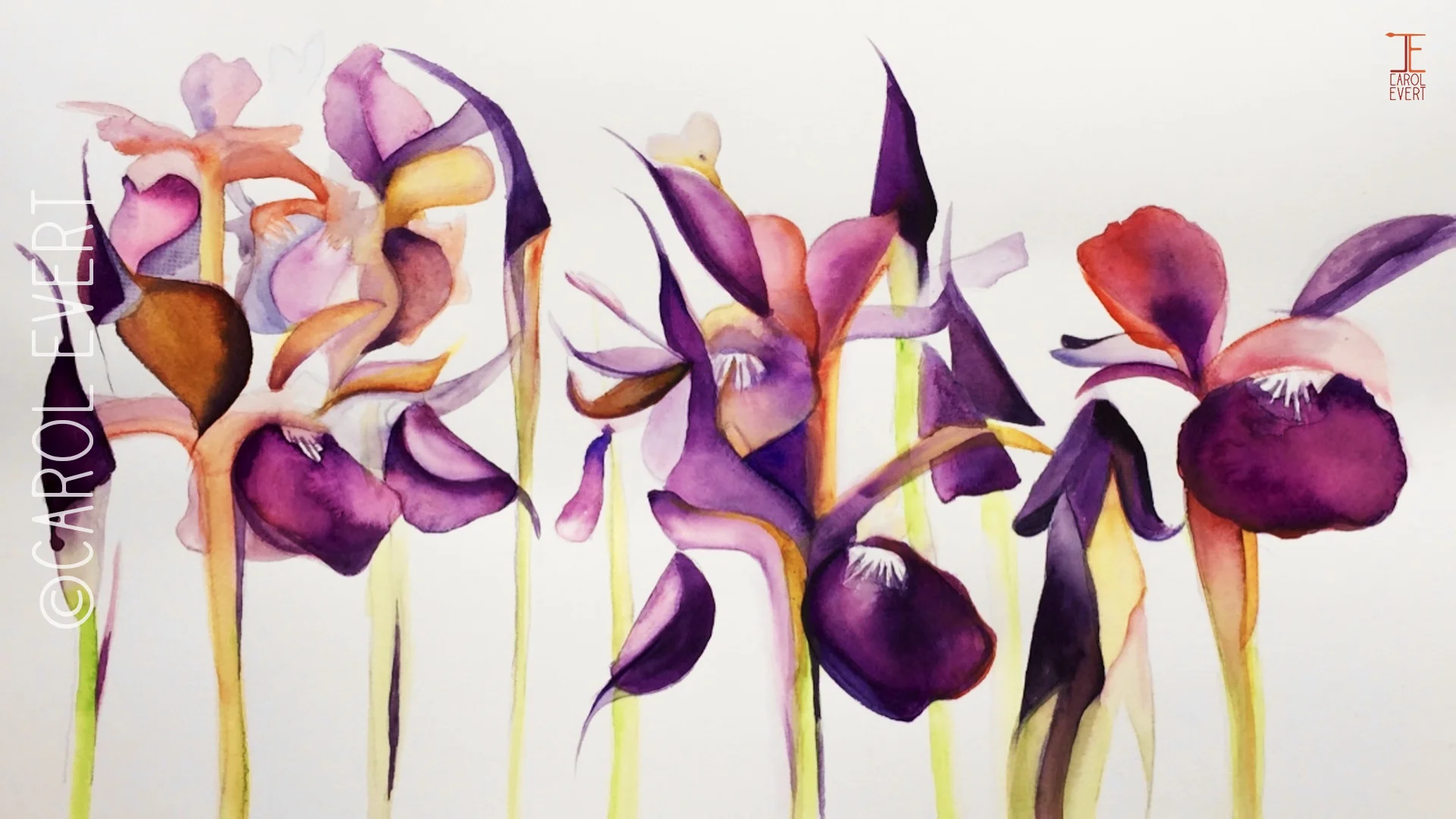 Irises